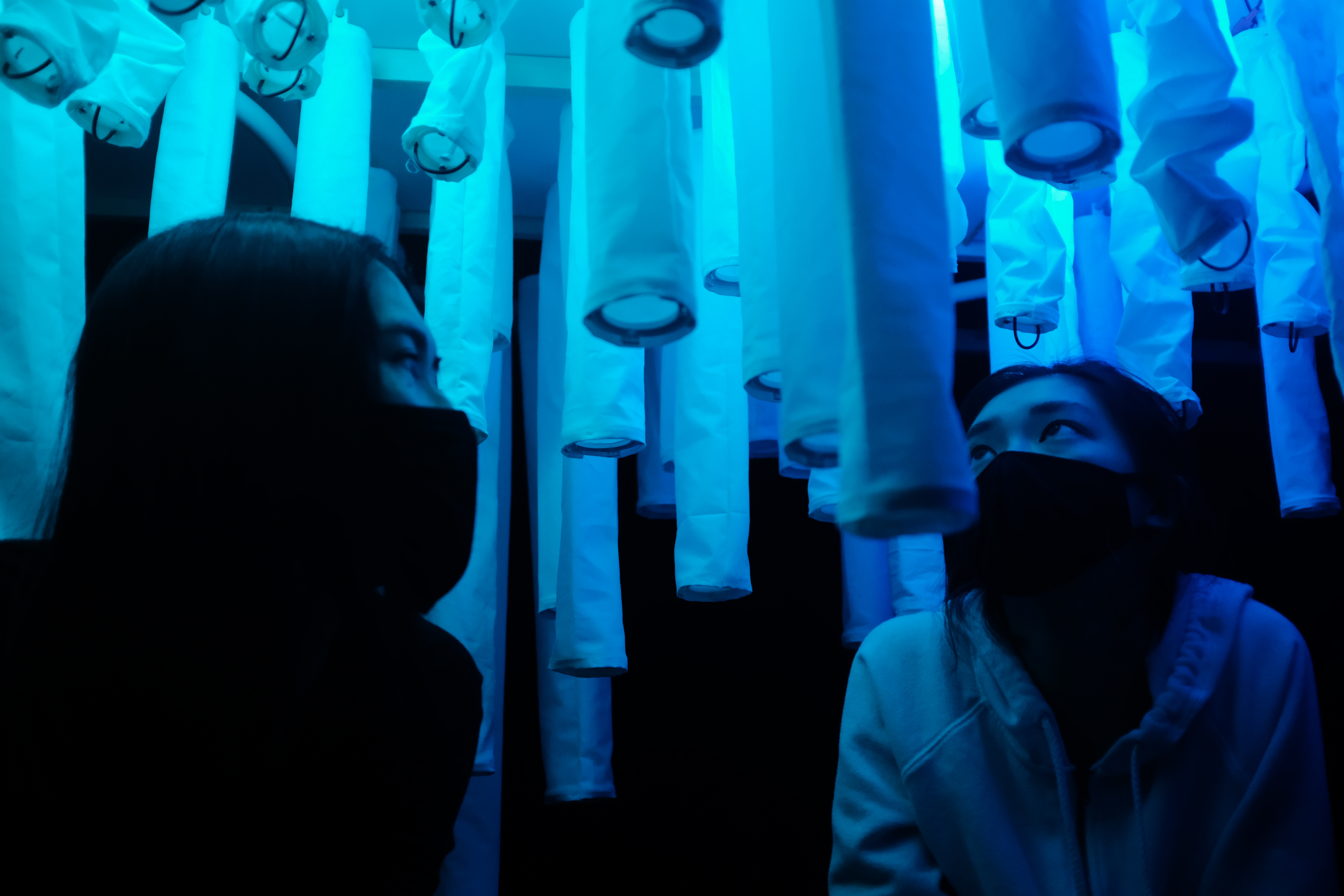 © مختبر التشكل