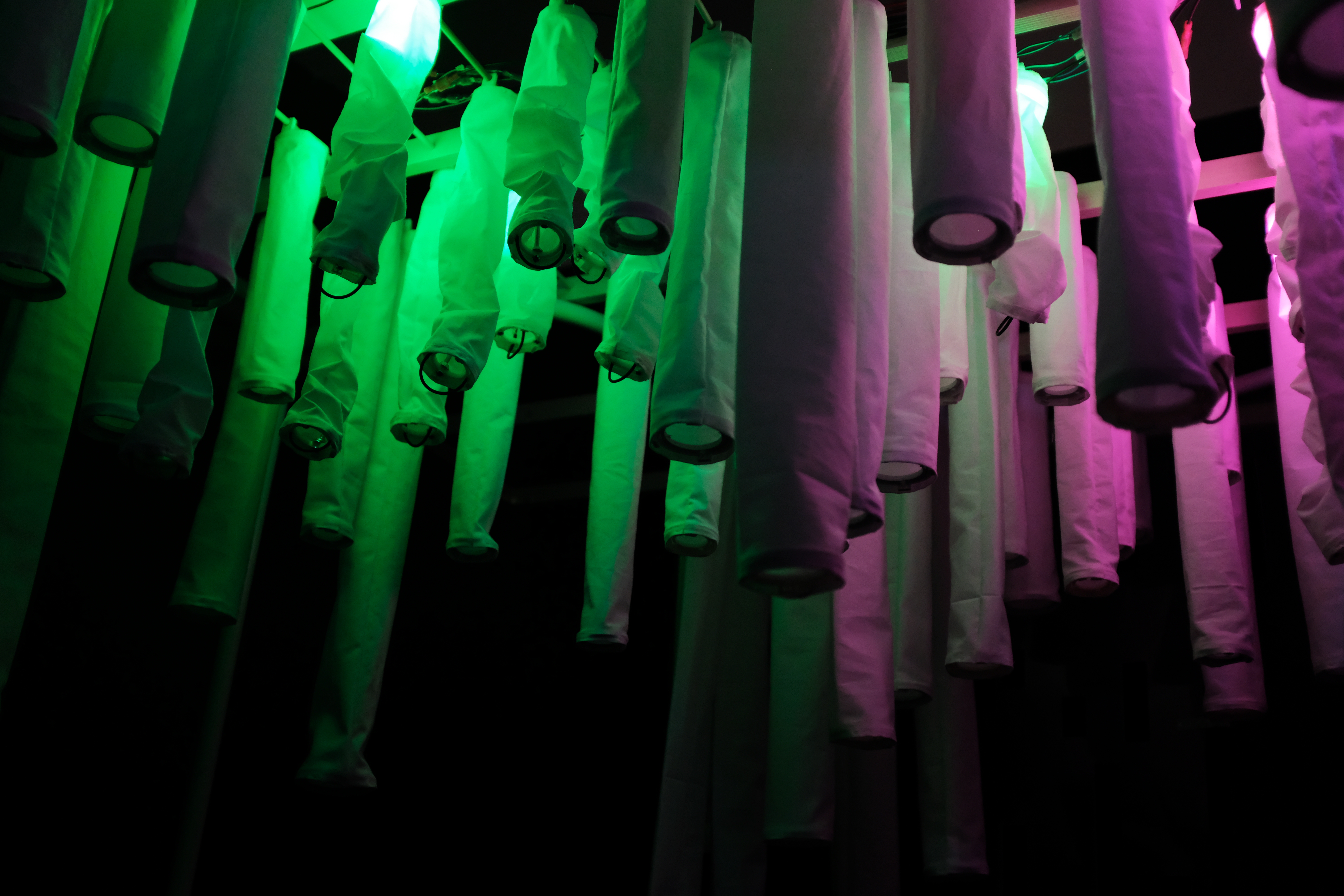 © مختبر التشكل