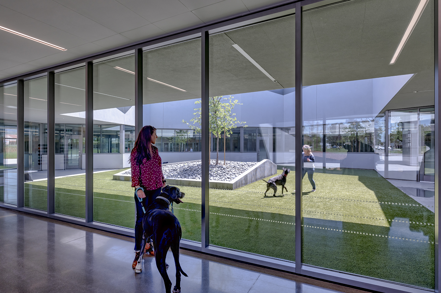 County of Santa Clara, Animal Services Center by Dreyfuss + Blackford