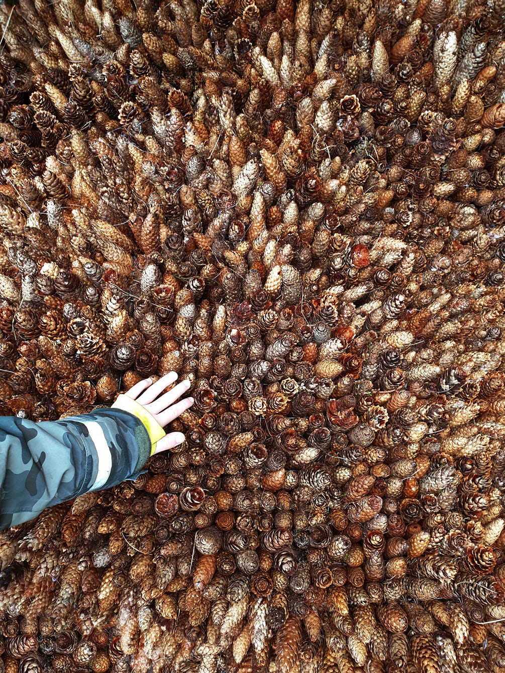 © Ulf Mejergren Architects (UMA)