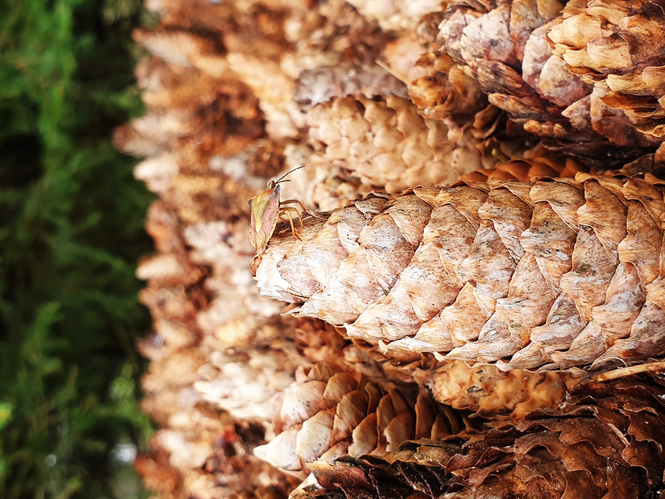 © Ulf Mejergren Architects (UMA)