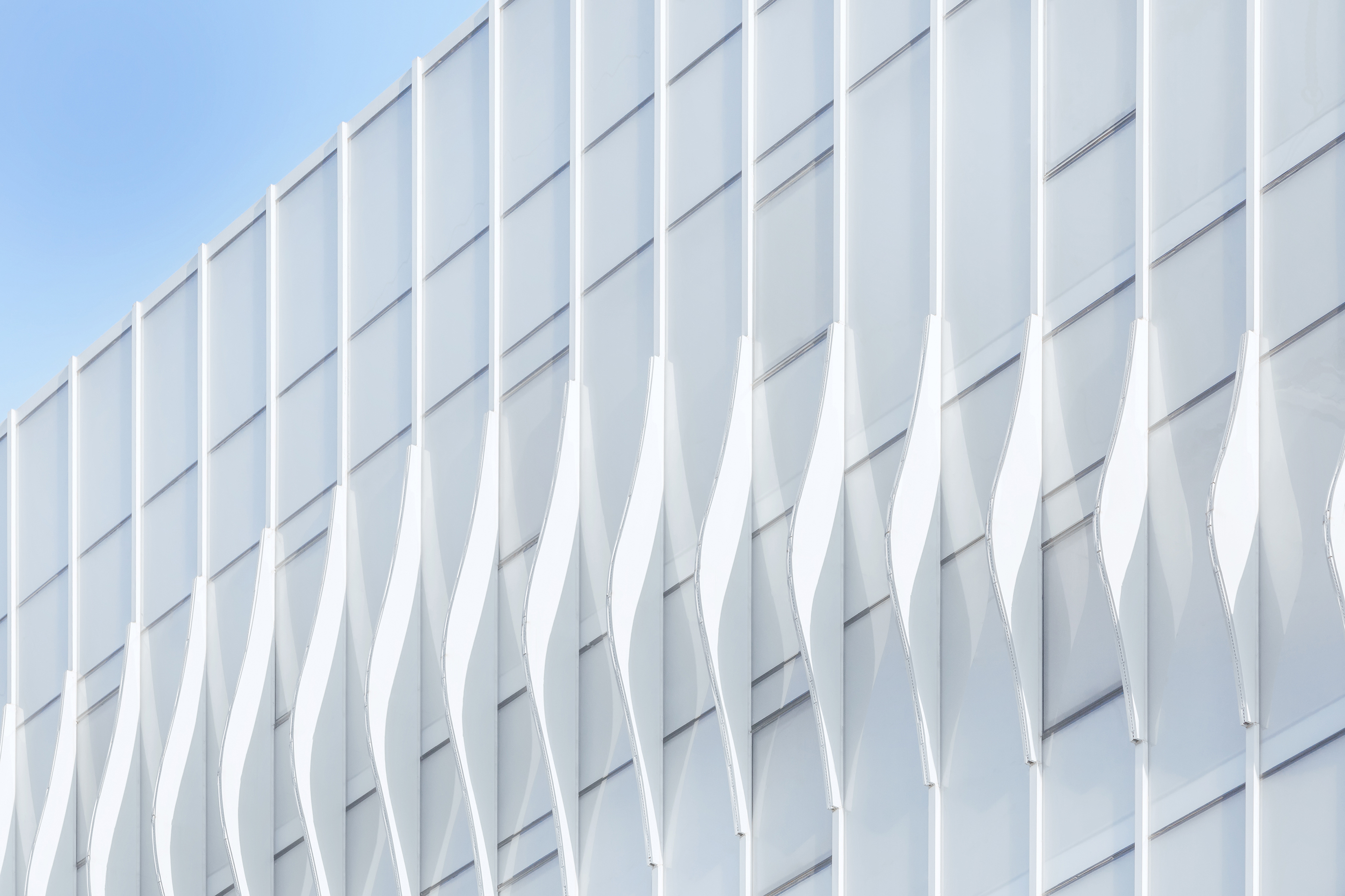 © Greater Dog Architects