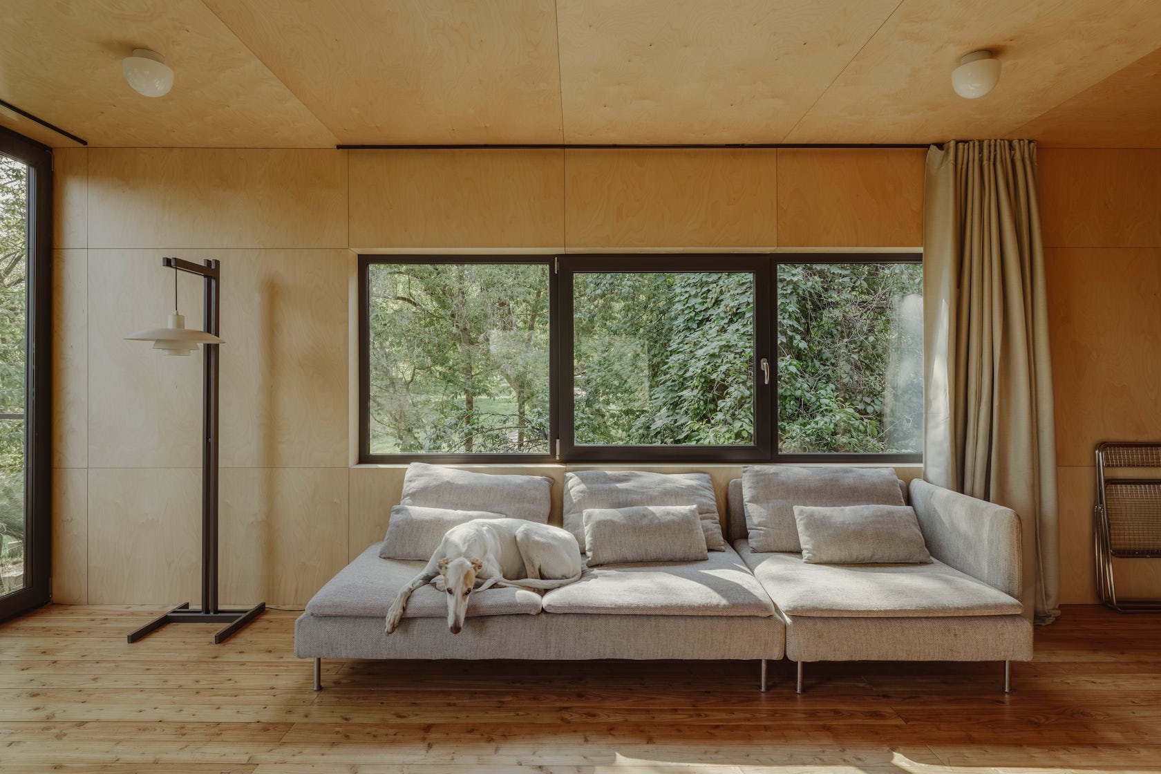 © ONI Studio