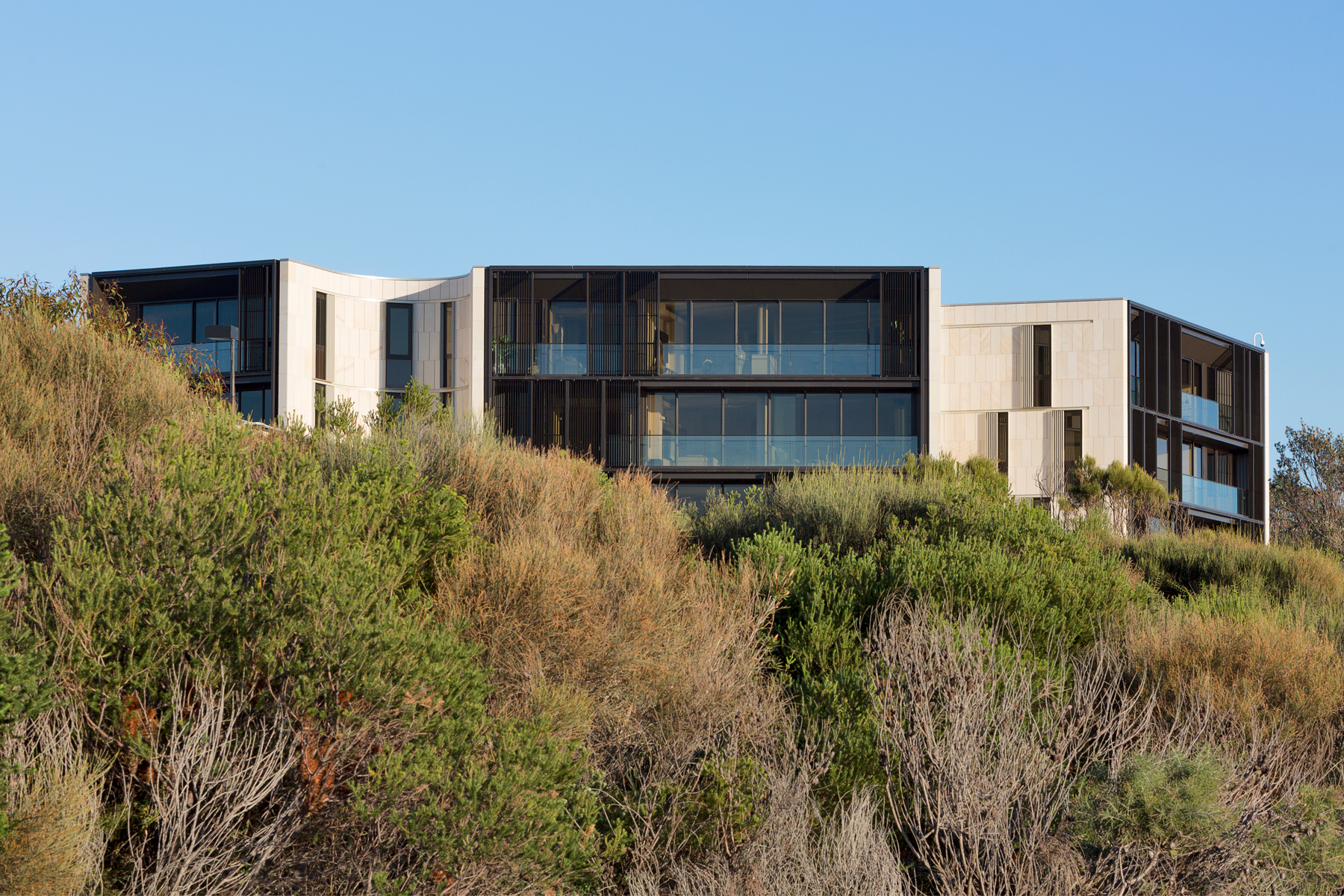 Harbord Diggers by Architectus Architizer