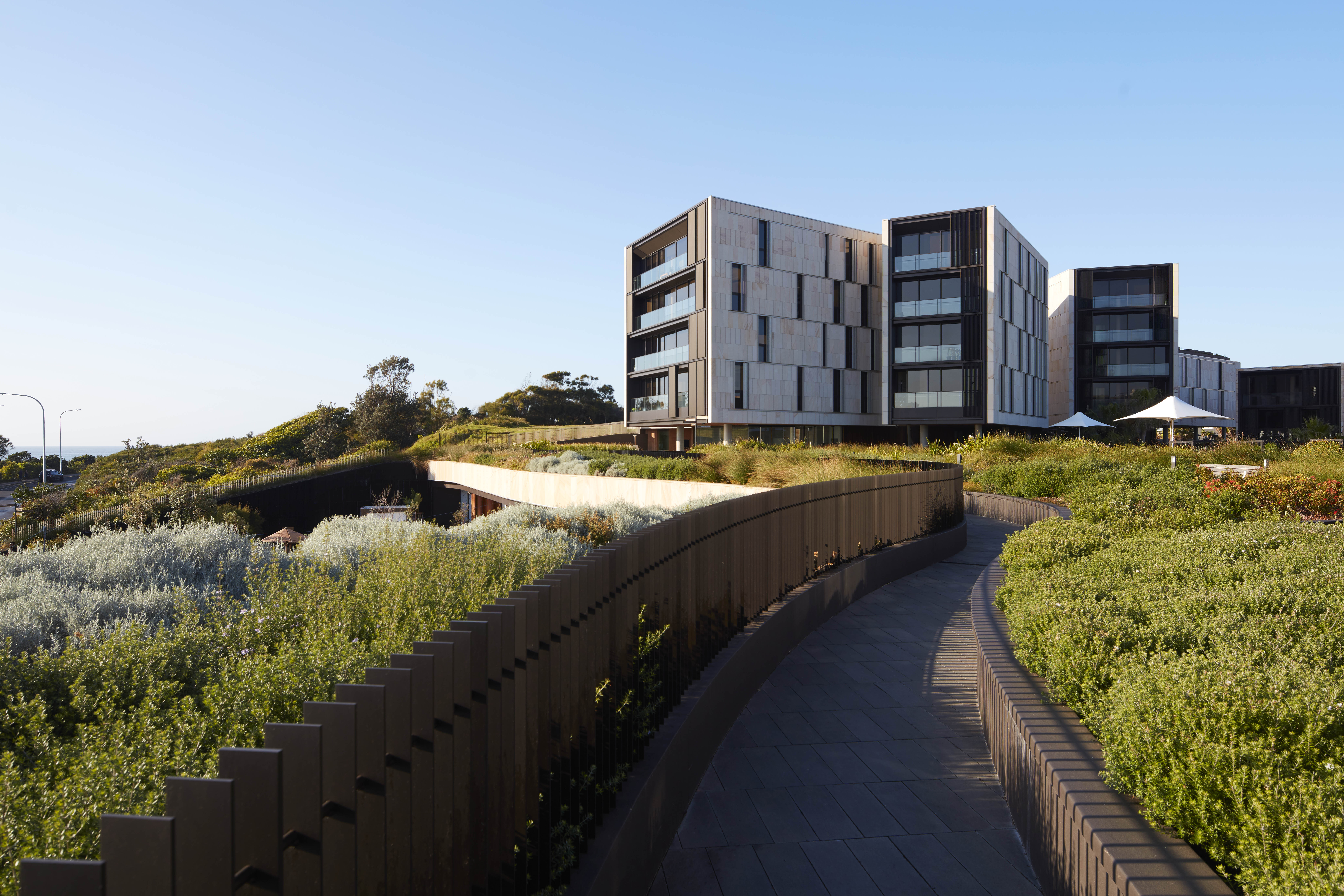 Harbord Diggers by Architectus Architizer