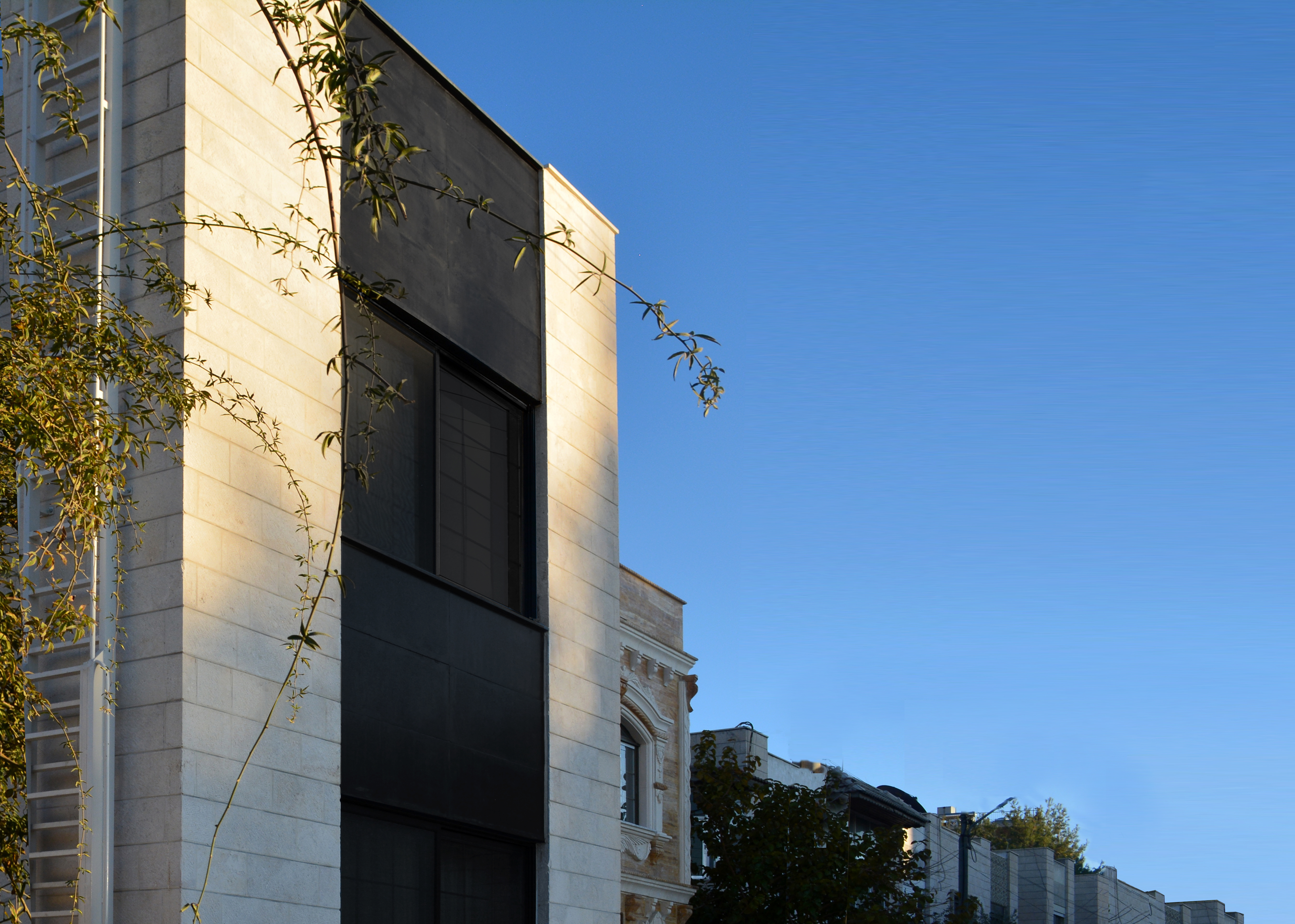 © ARD design l دينا الأحمد