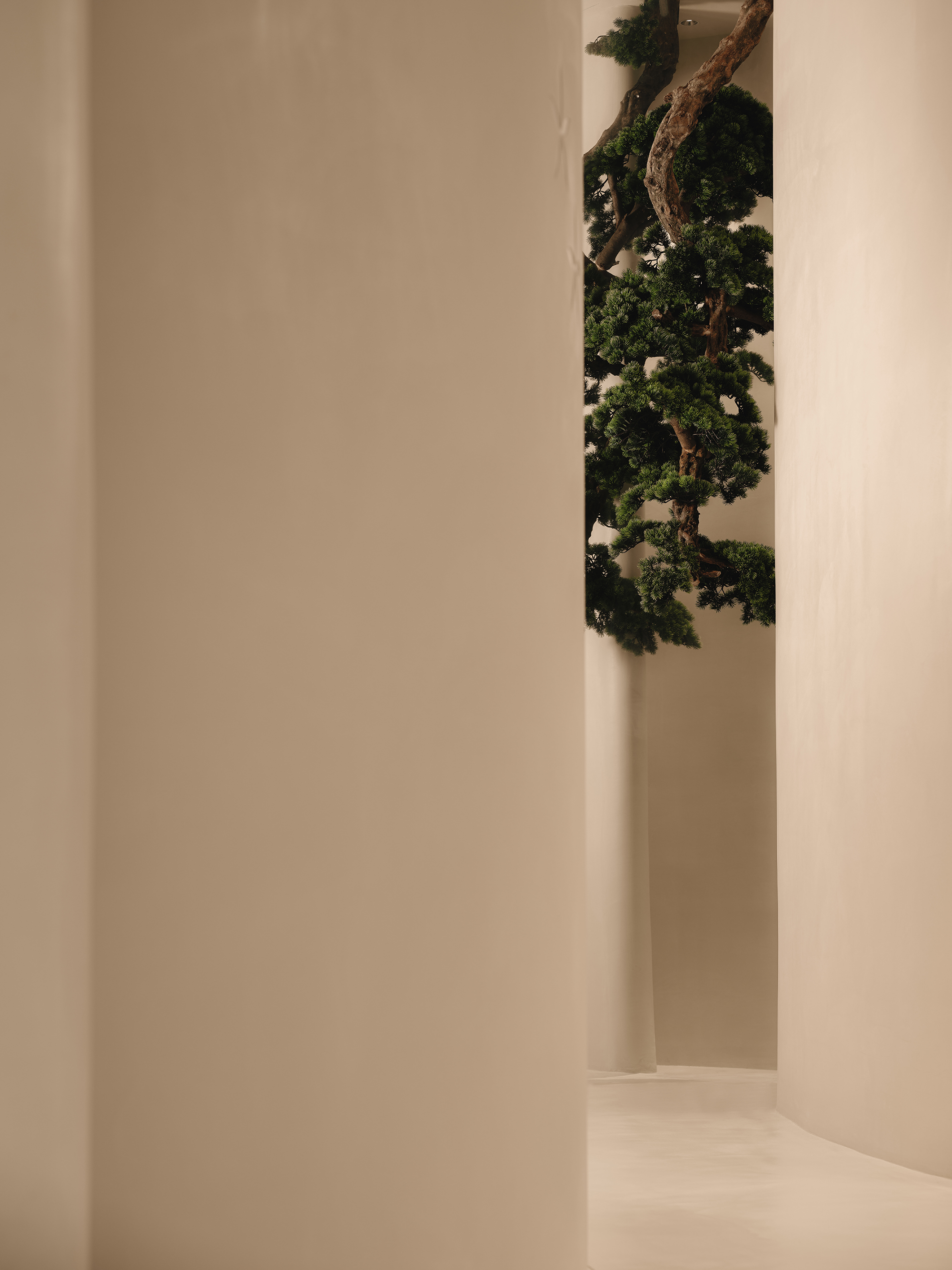 © Design aesthetics