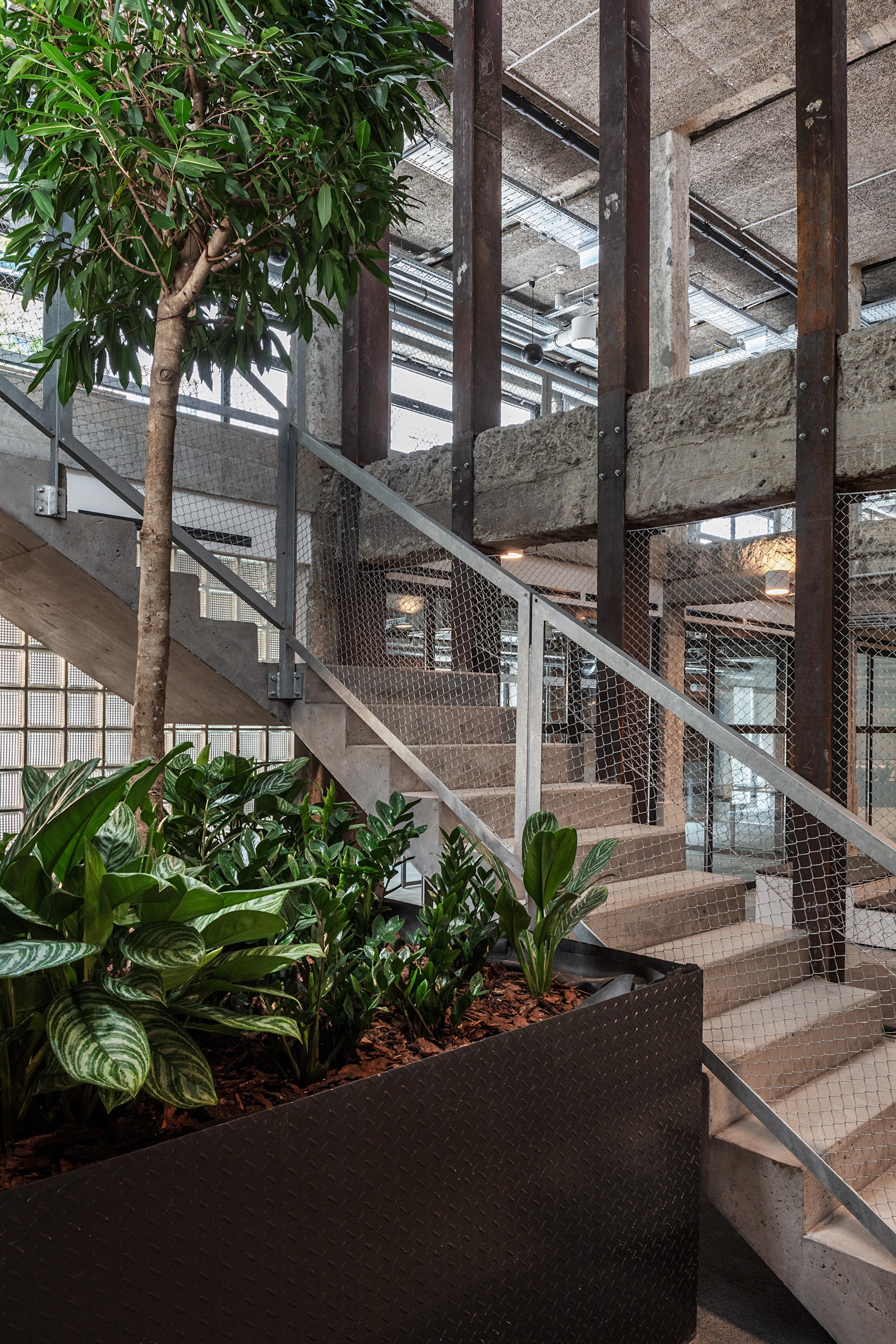 © Bánáti + Hartvig Architect Studio