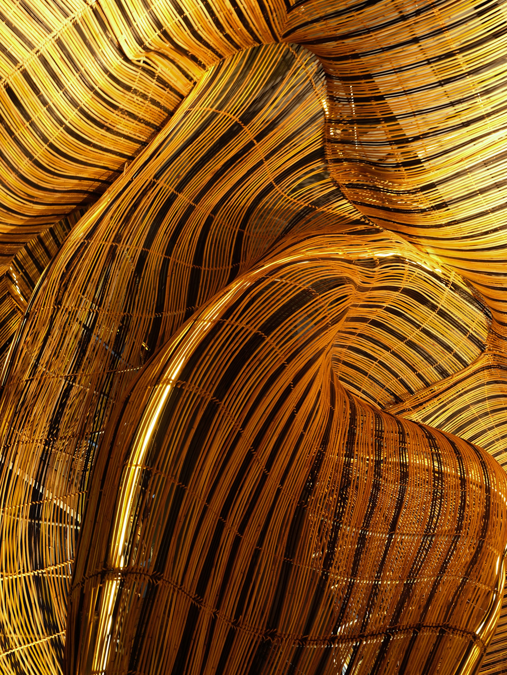 © Enter Projects Asia