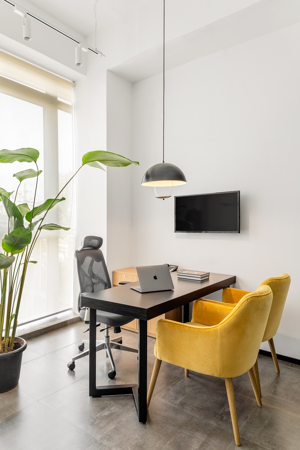 © Quirk Studio