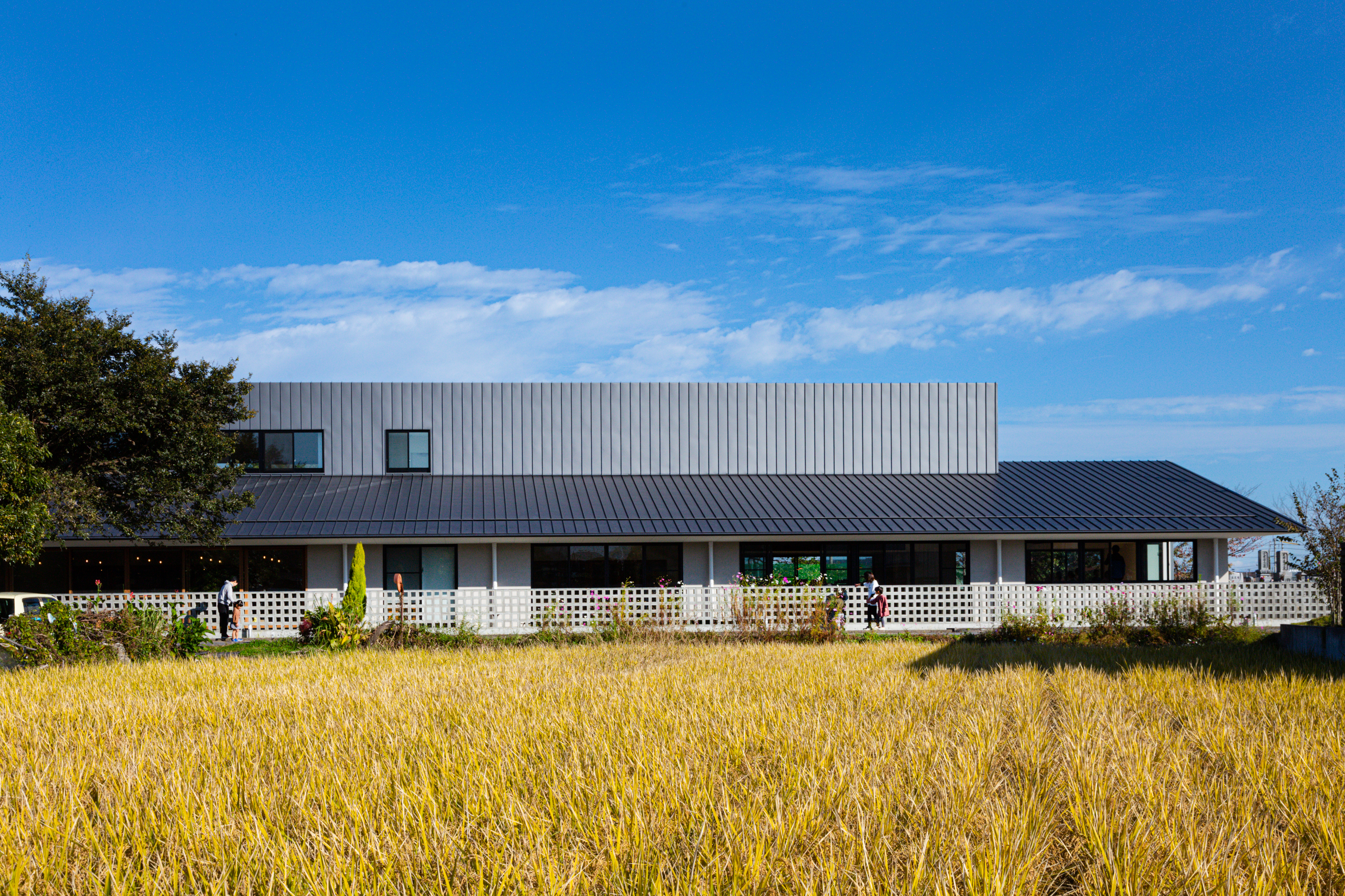 Ouchi (Small House for Kids) by HIBINOSEKKEI+Youji no Shiro Architizer