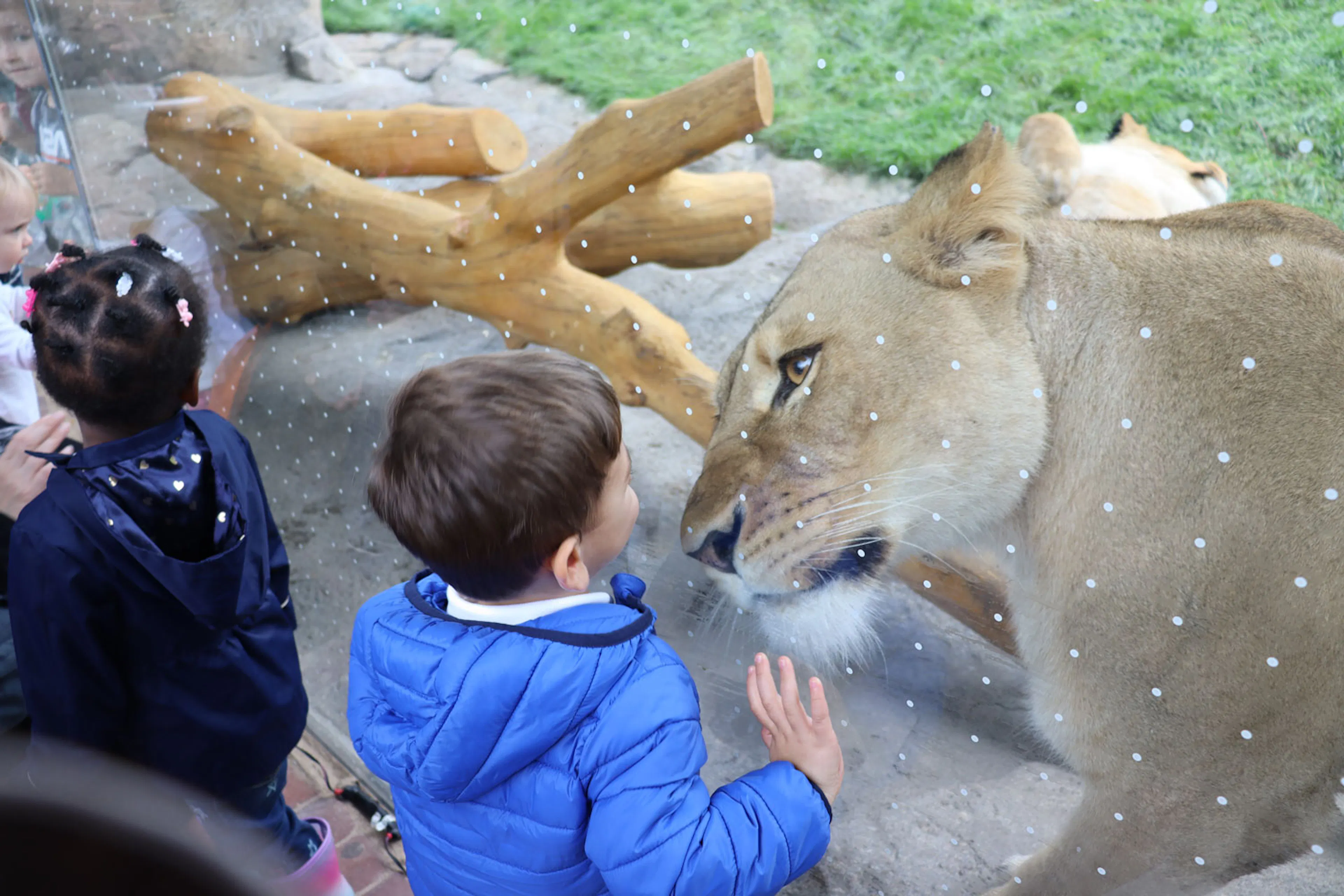 Lincoln Park Zoo Pepper Family Wildlife Center