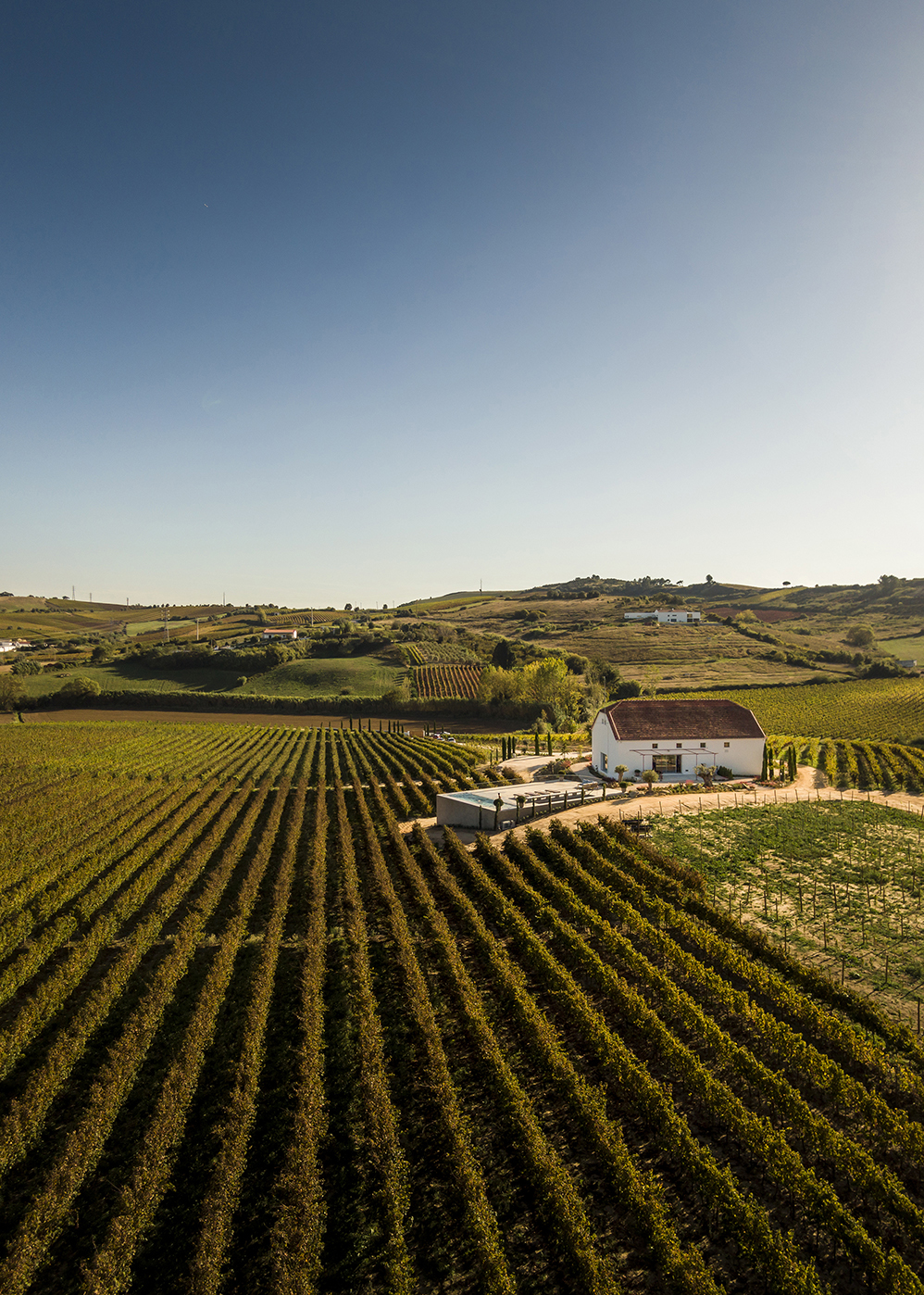 © ATELIER CENTRAL ARQUITECTOS