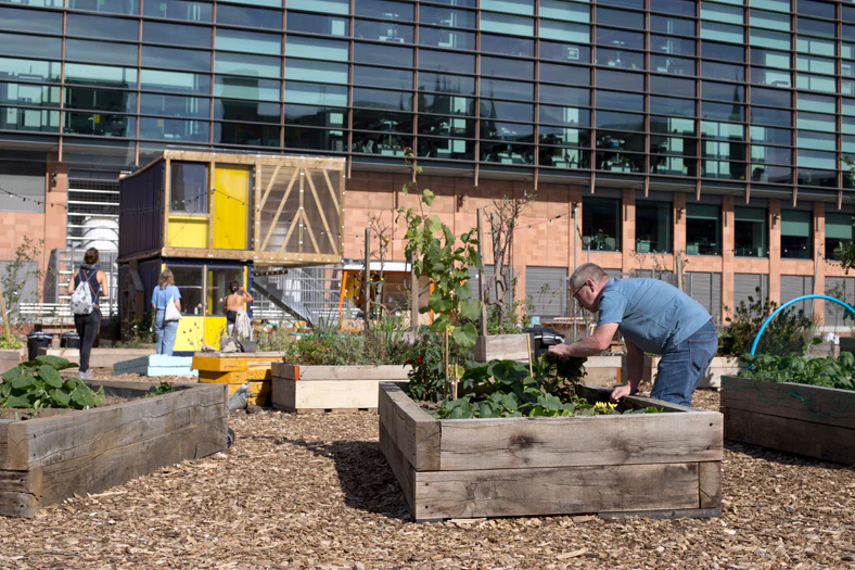 © Jan Kattein Architects