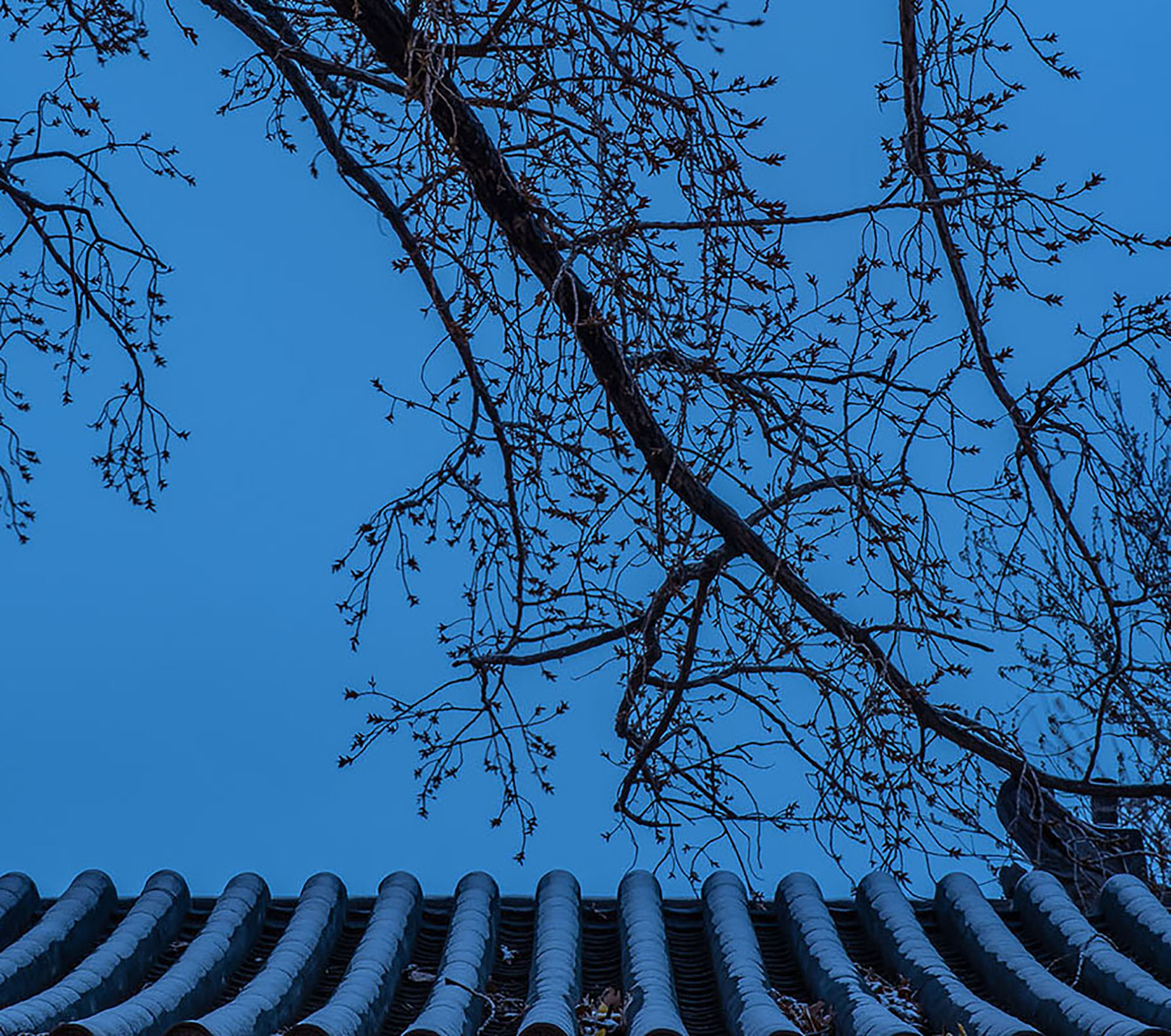 © LDH Architectural Design