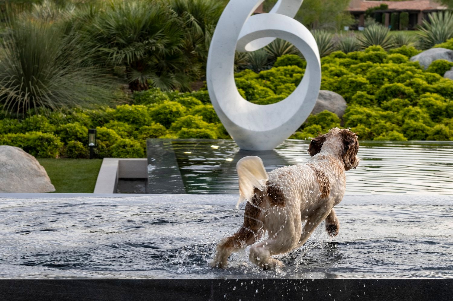 © William MacCollum