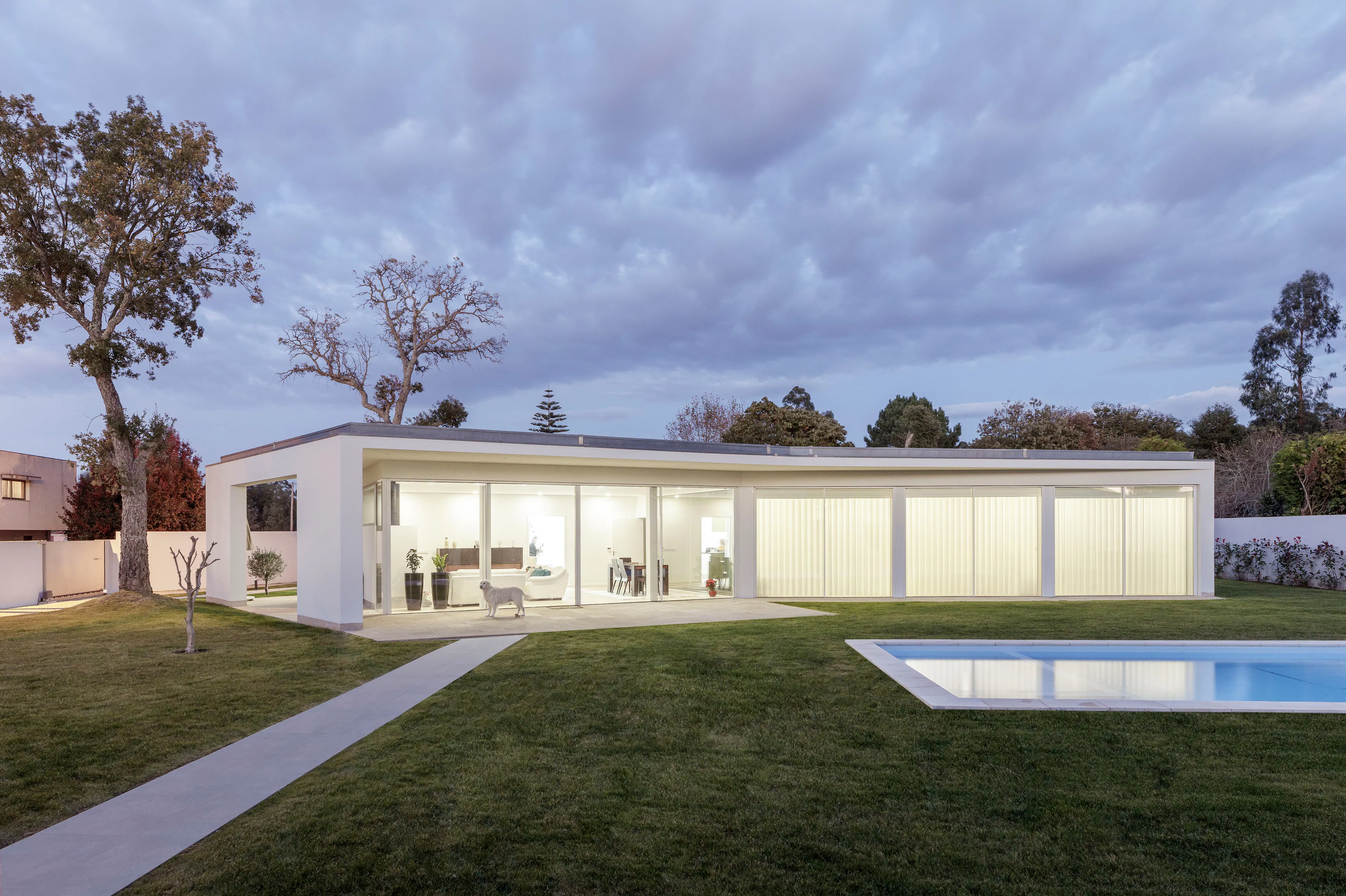 Ventura + Partners — 7