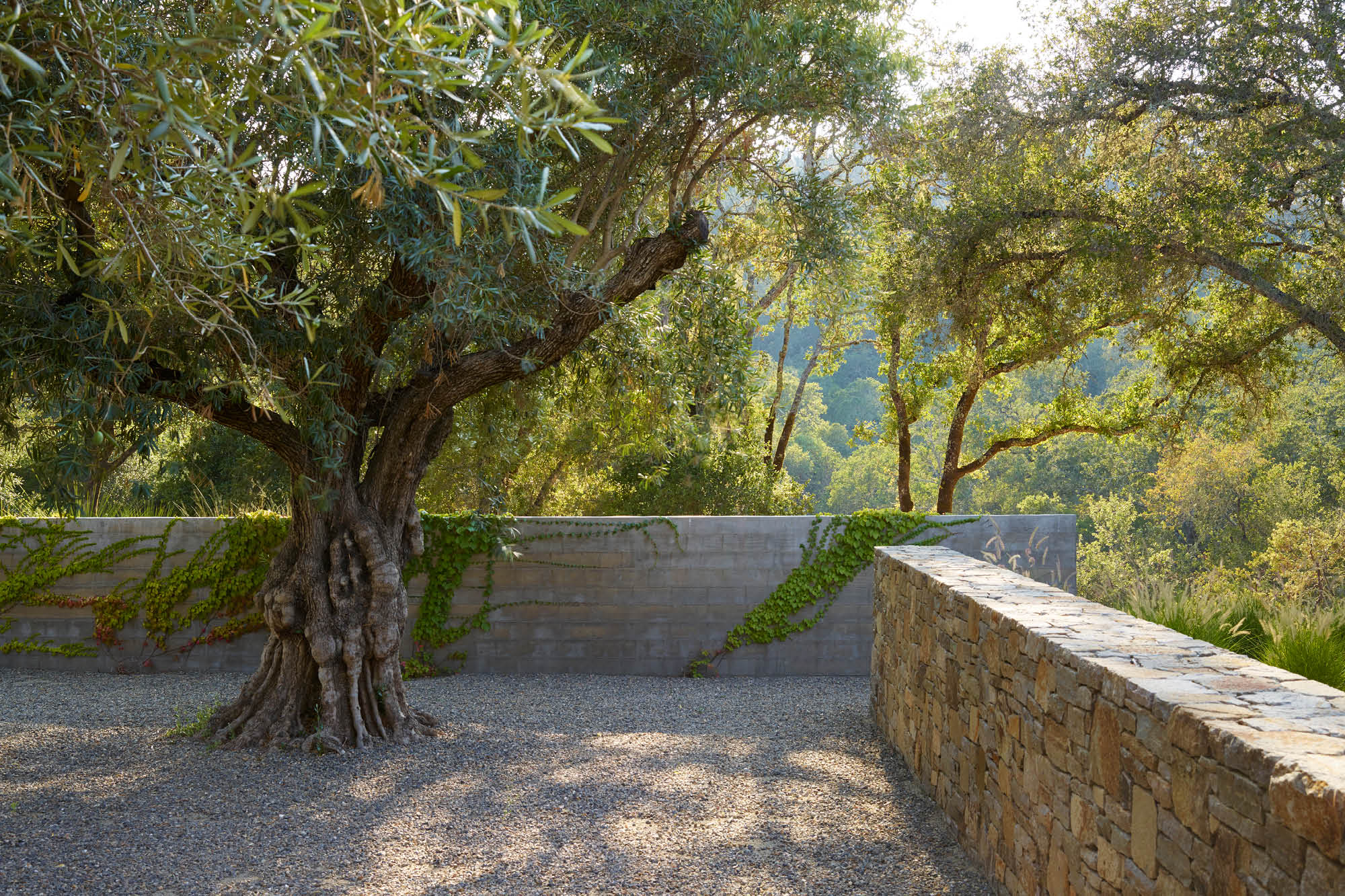 © Andrea Cochran Landscape Architecture