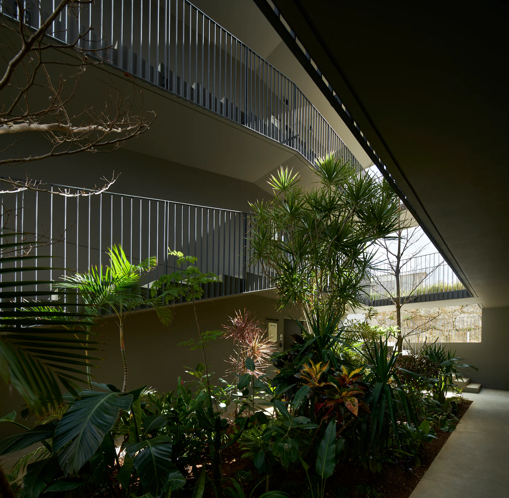 © ©Koji Fujii /TOREAL