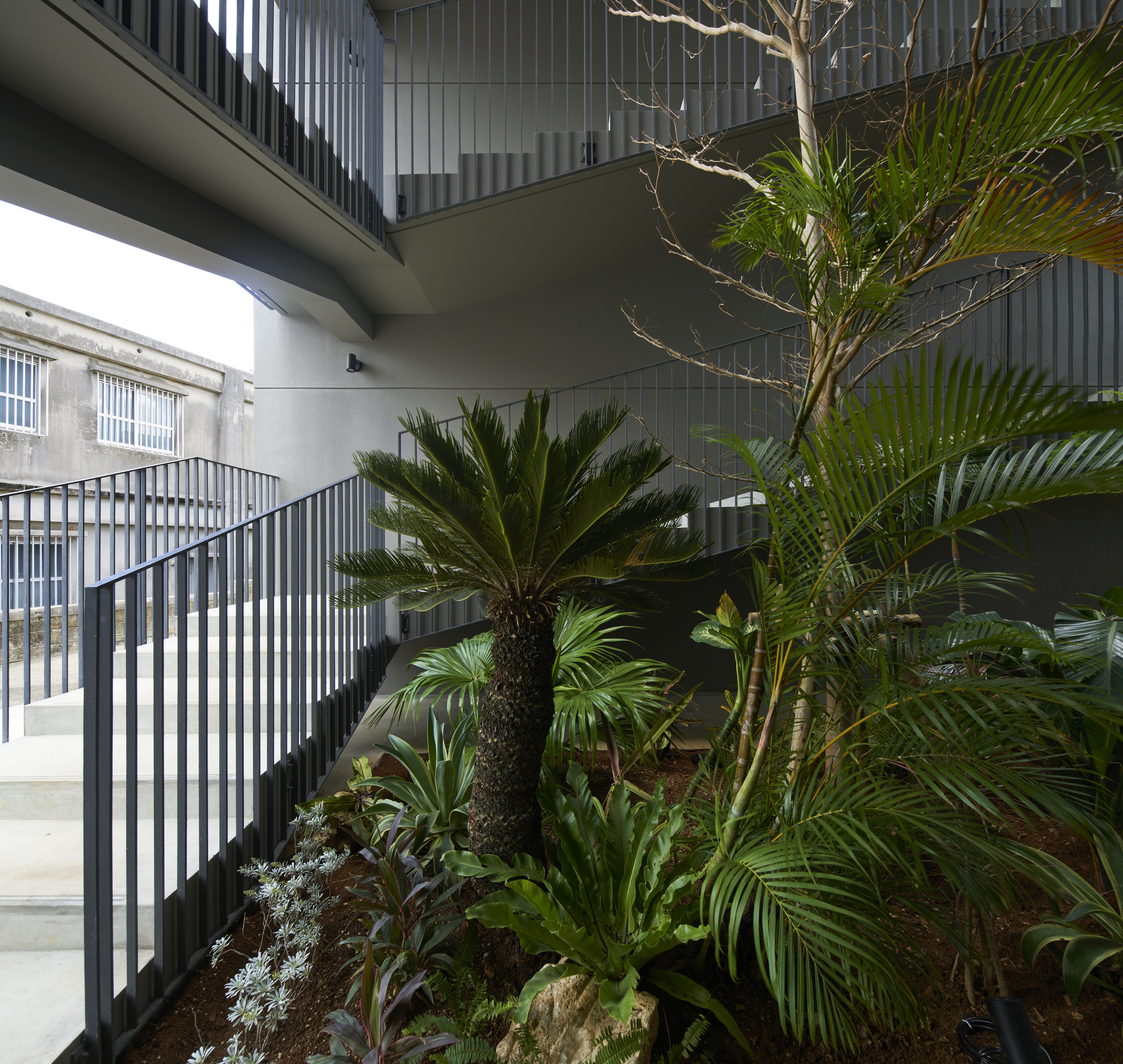 © ©Koji Fujii /TOREAL