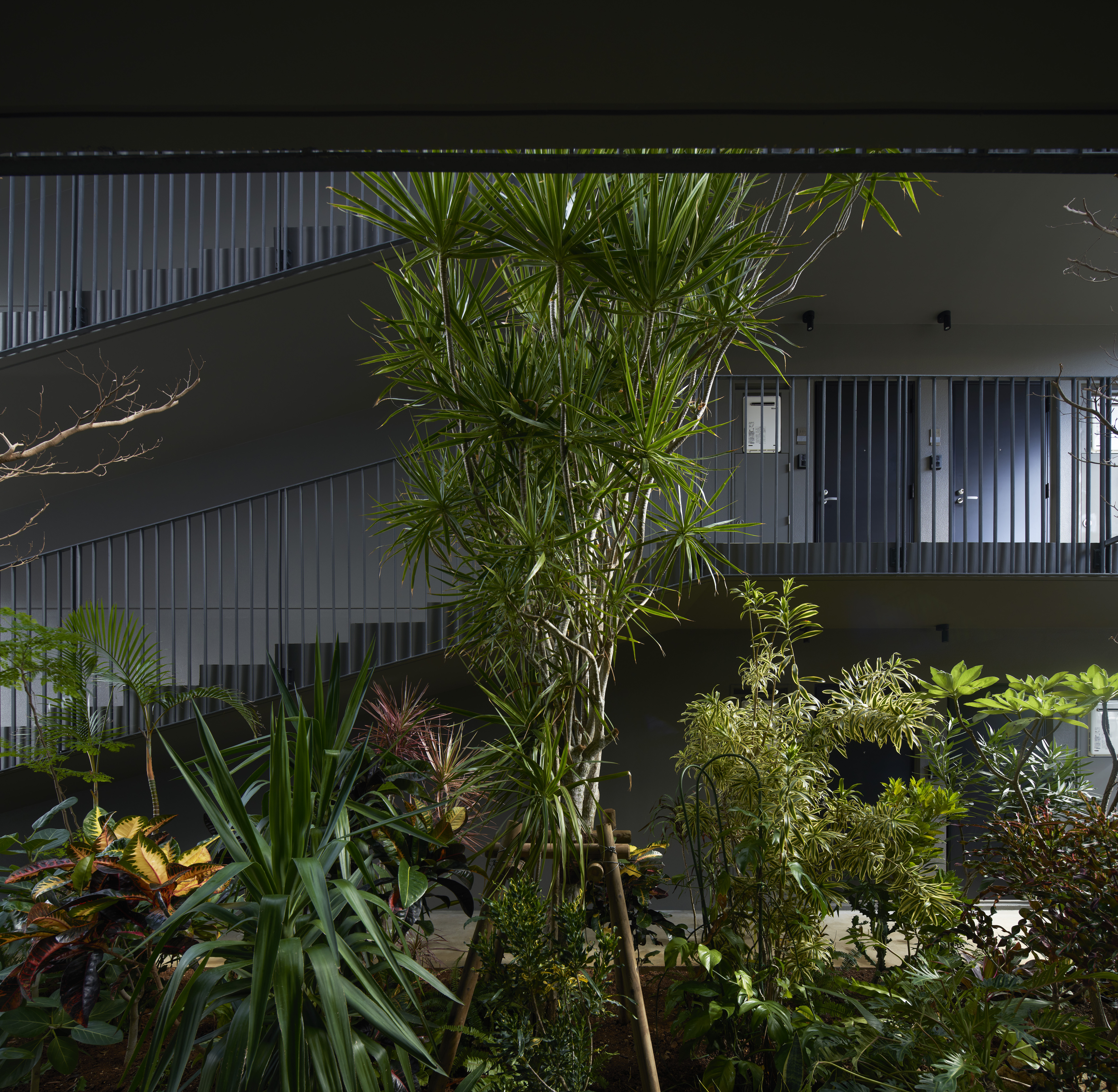 © ©Koji Fujii /TOREAL