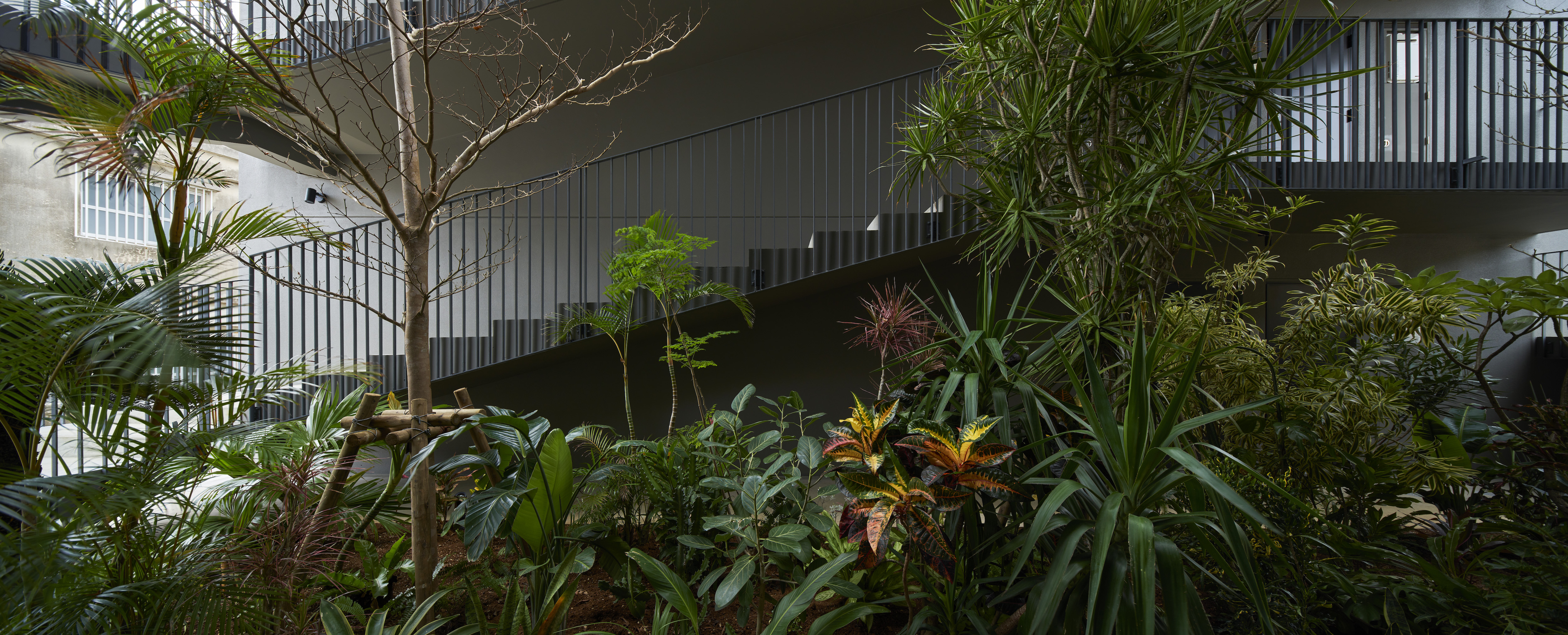 © ©Koji Fujii /TOREAL