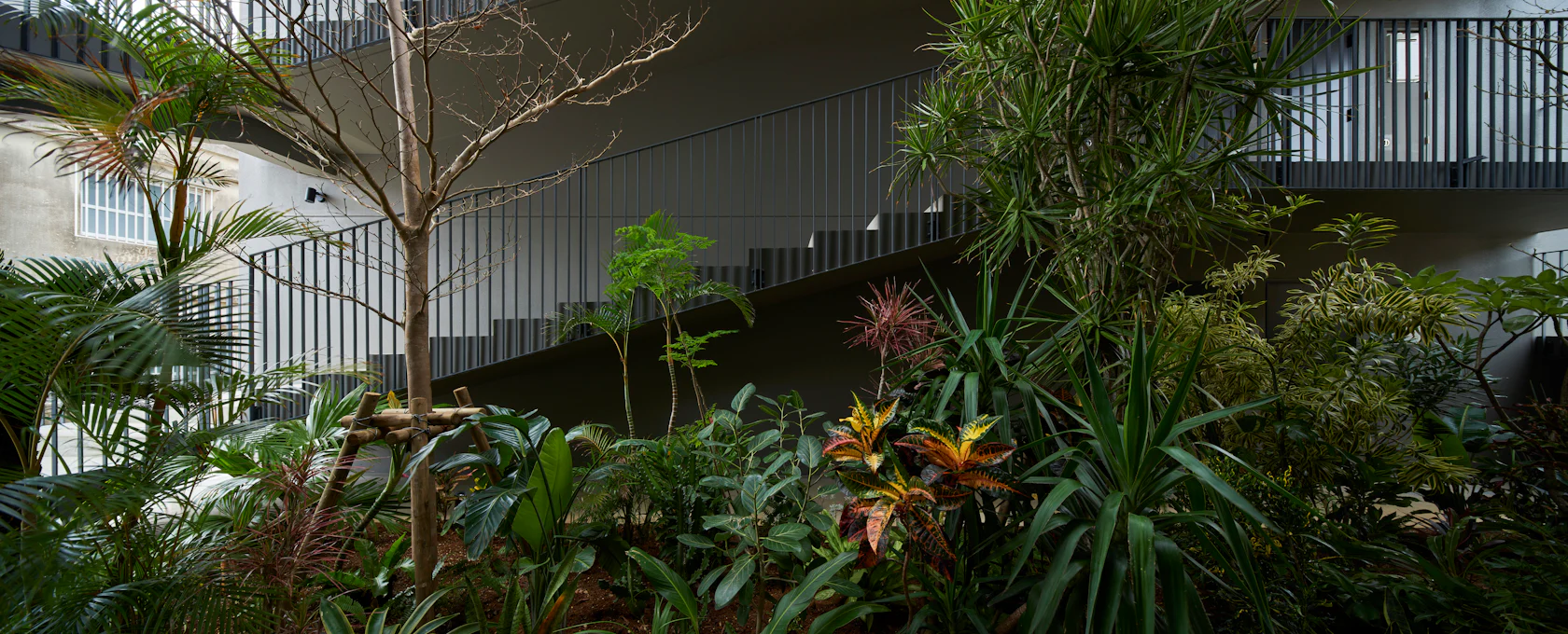 © ©Koji Fujii /TOREAL