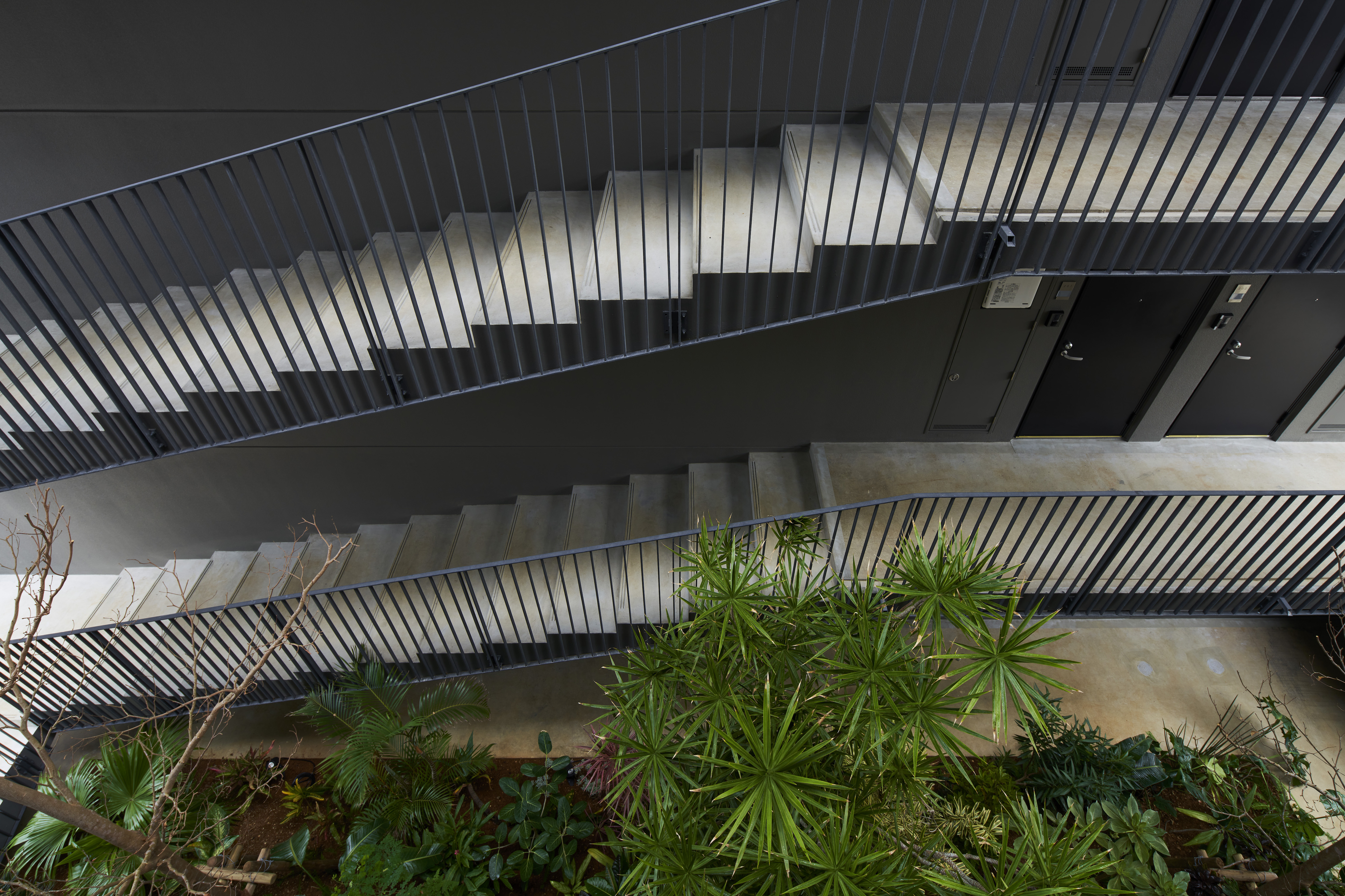 © ©Koji Fujii /TOREAL