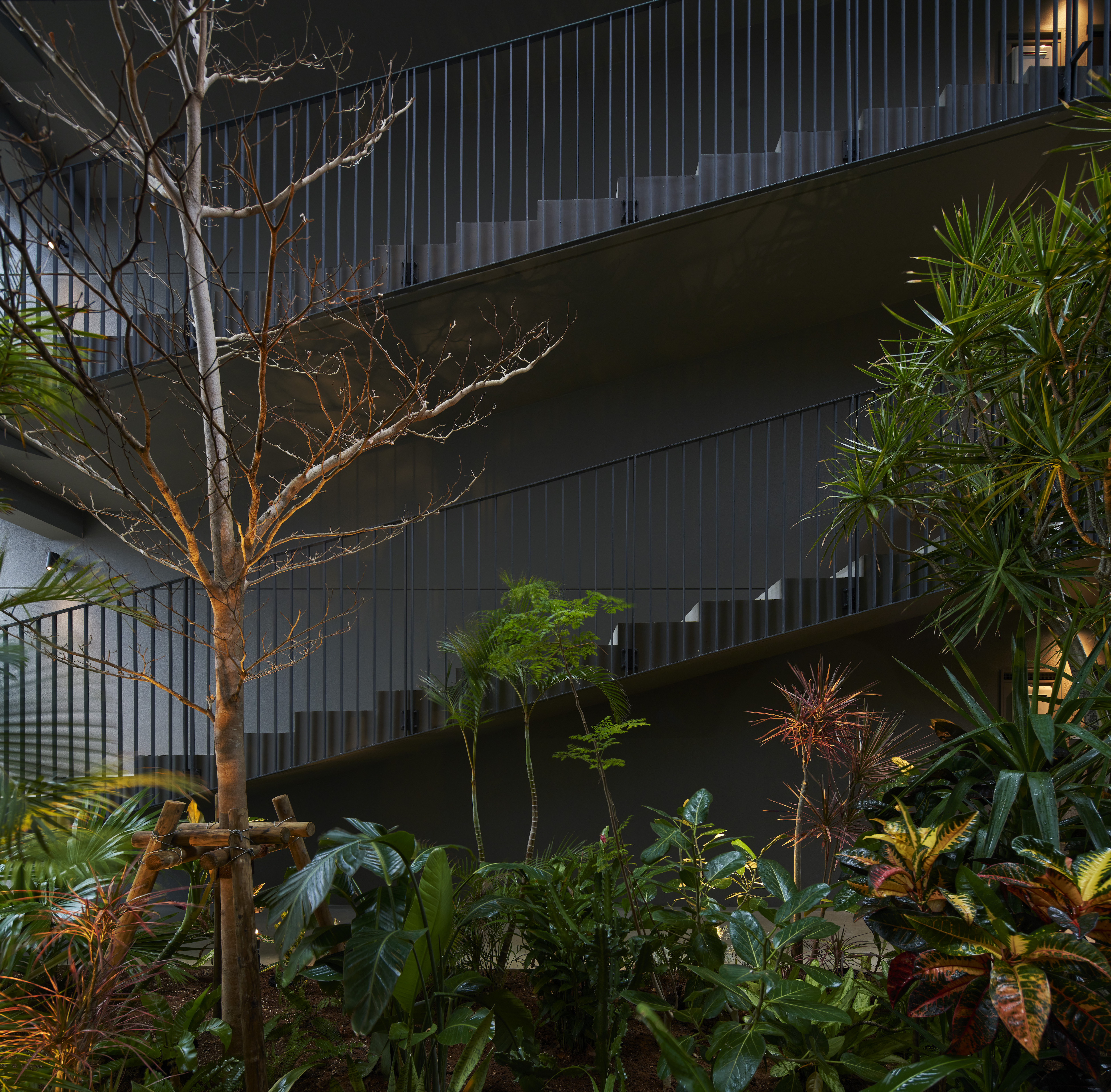 © ©Koji Fujii /TOREAL