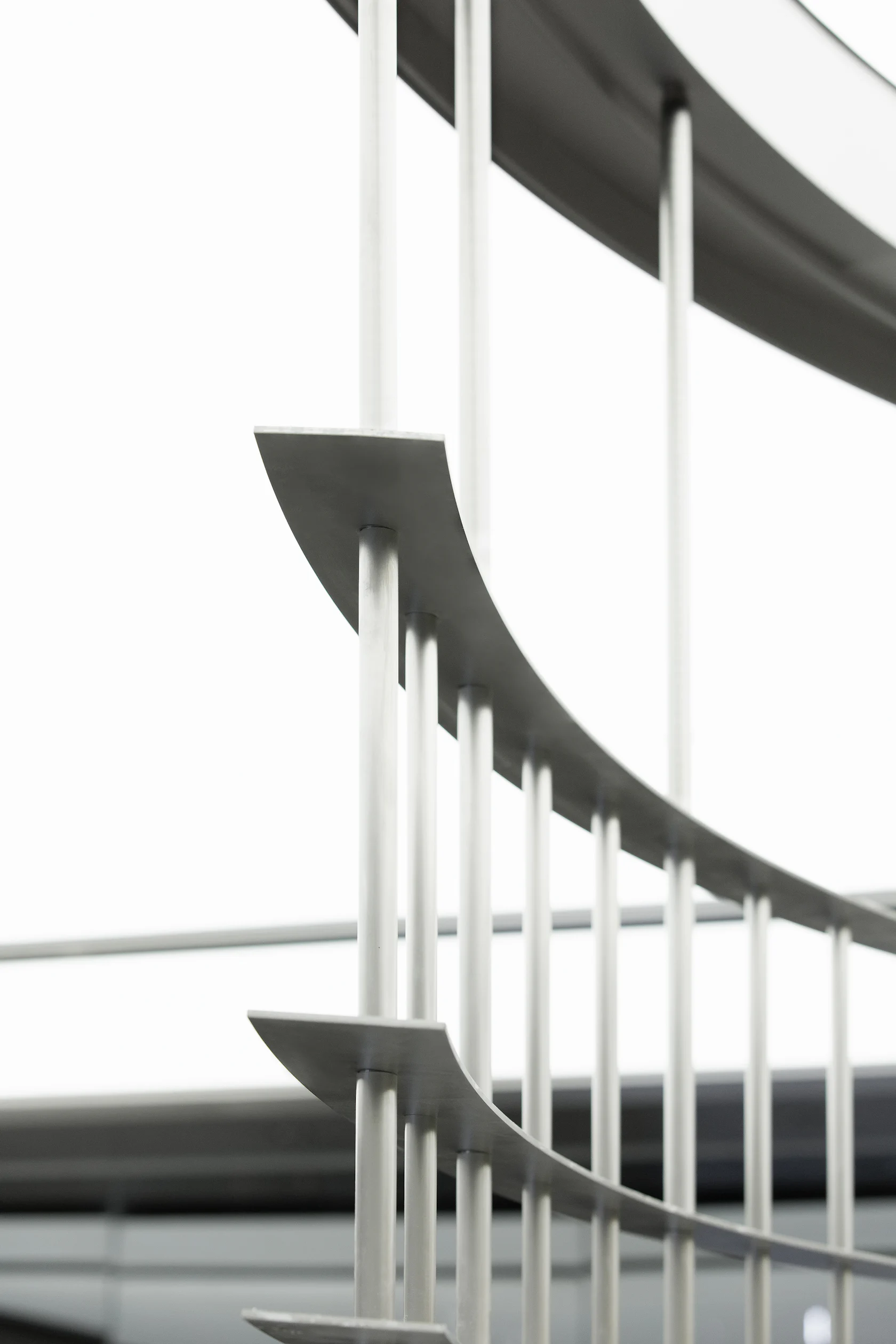 © Greater Dog Architects