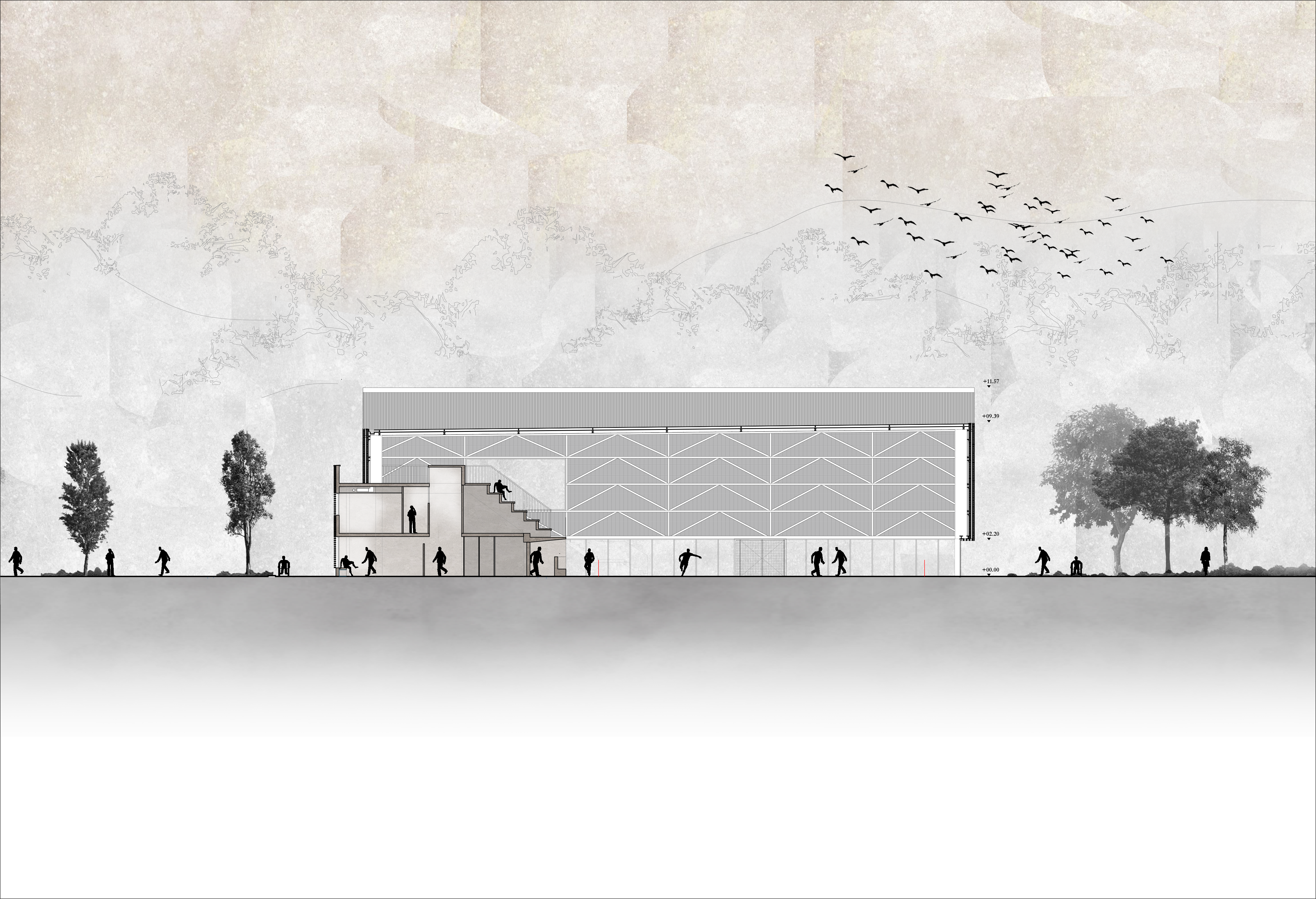 © Bordas+Peiro Architecte