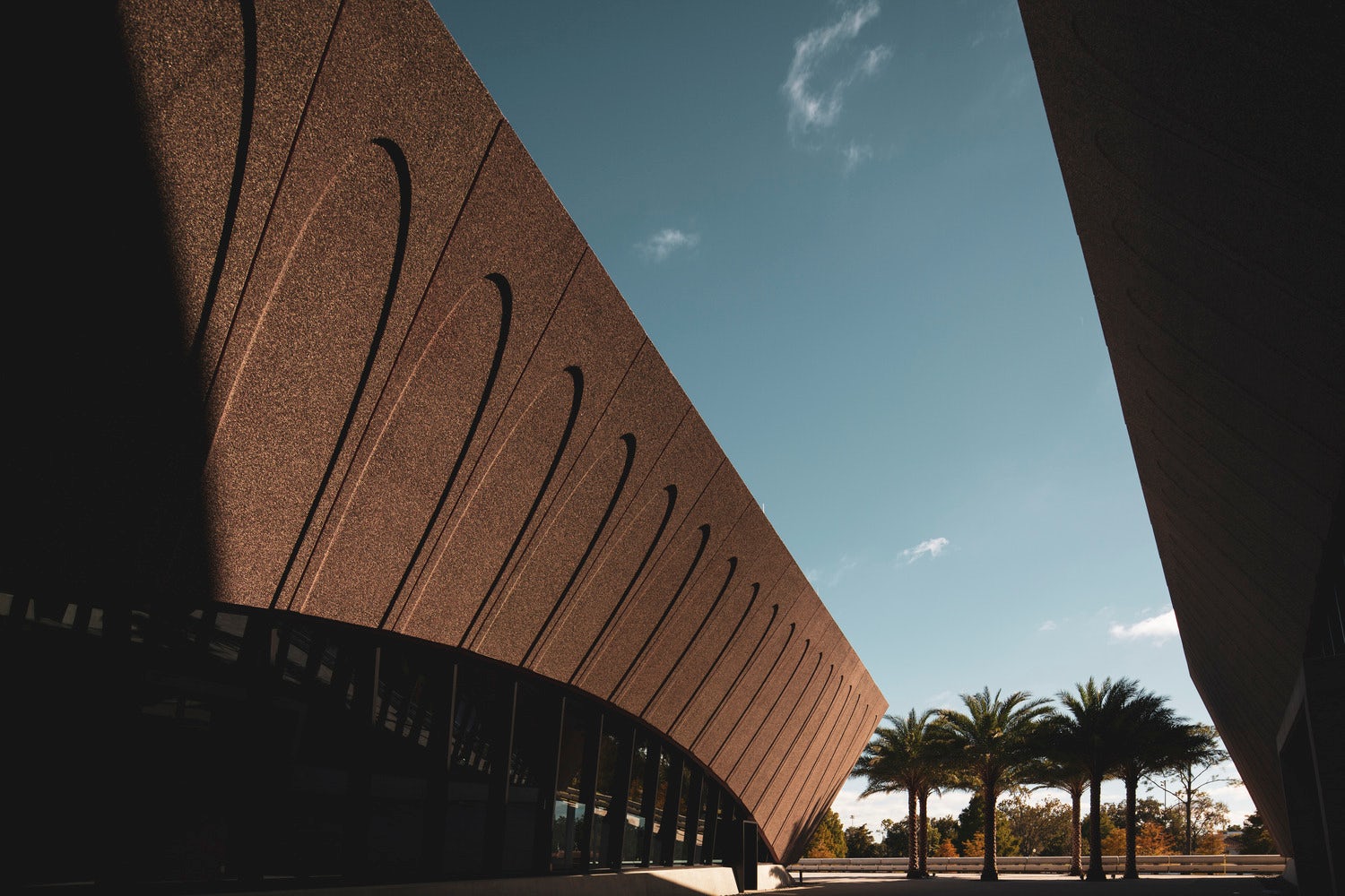 © Ivane Katamashvili