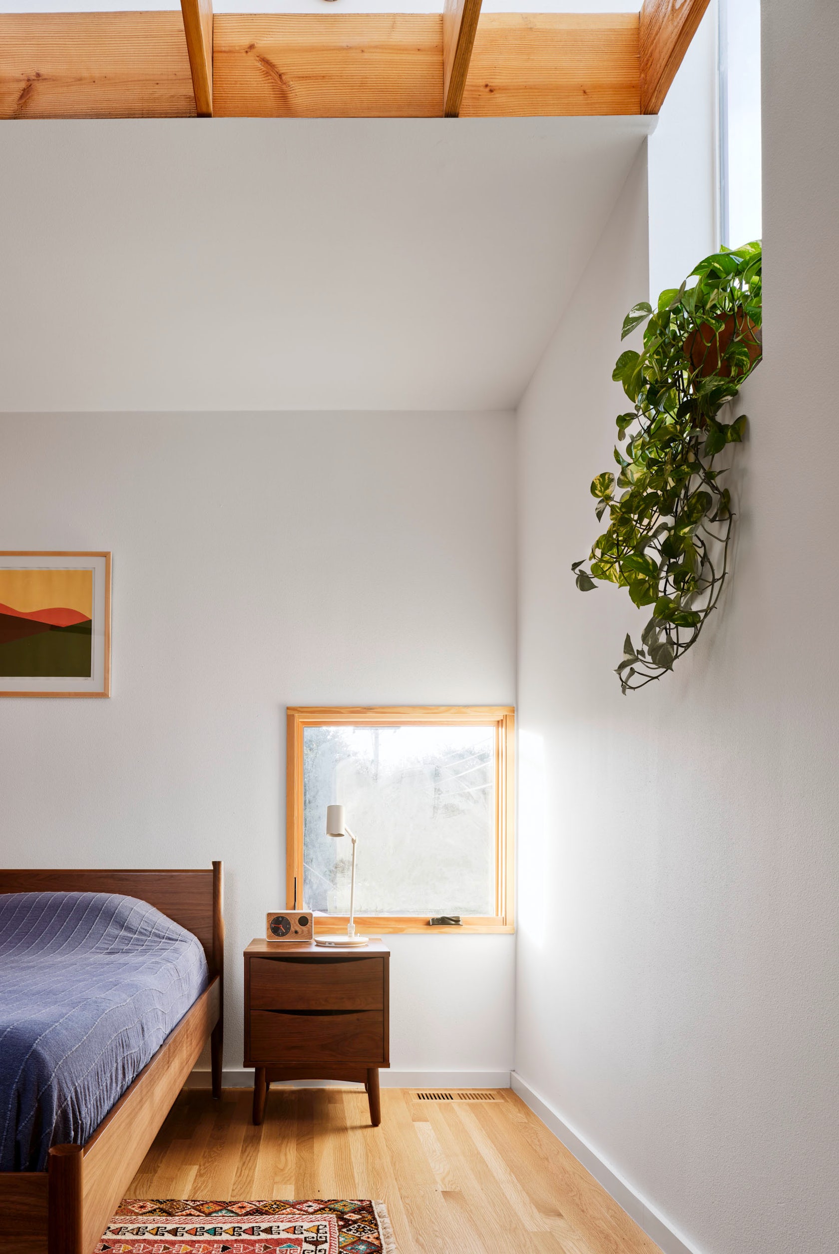 © Murray Legge Architecture