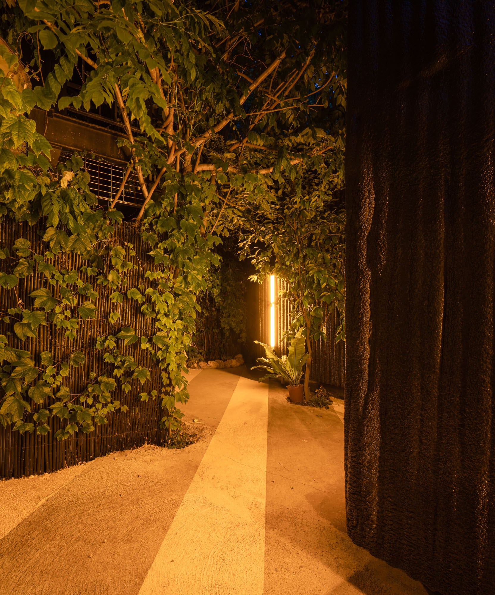 © Tomás García Píriz Studio