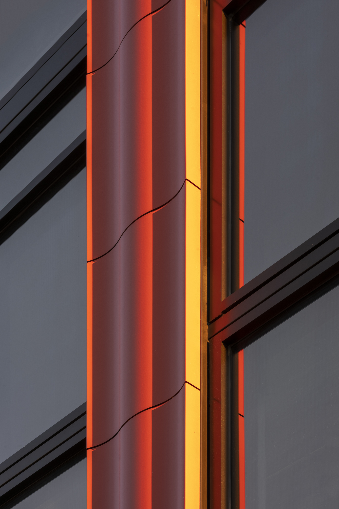 © Sinziana Velicescu