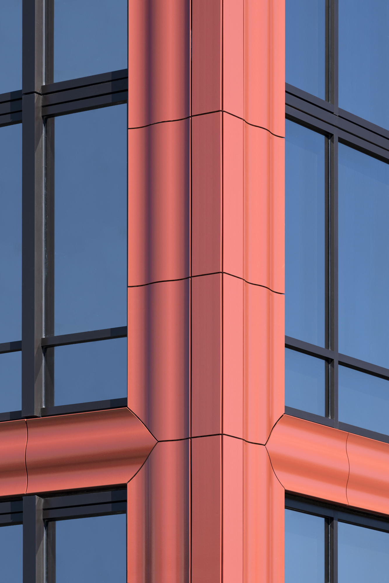 © Sinziana Velicescu