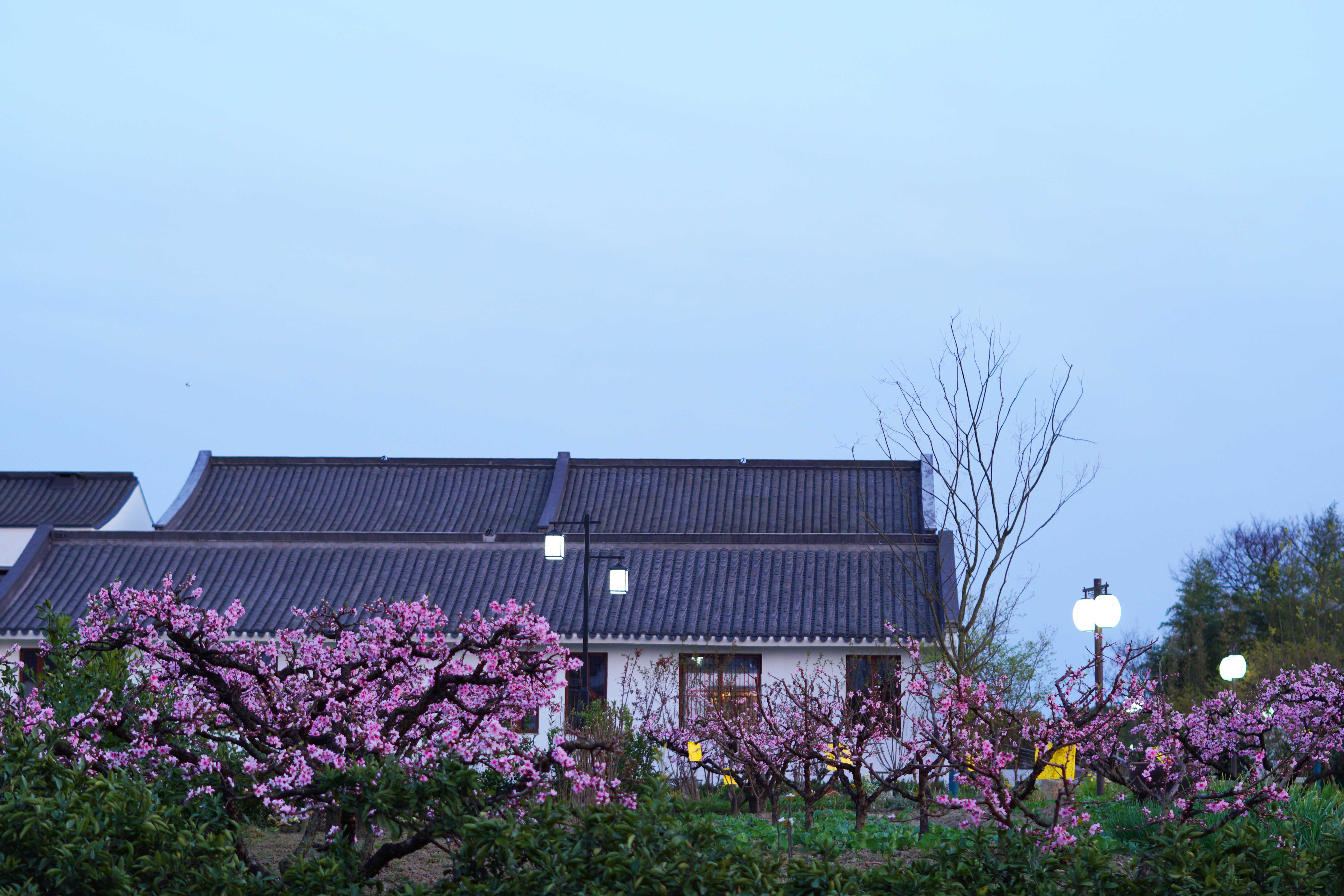 © The Design Institute Of Landscape & Architecture China Academy Of Art CO.,LTD