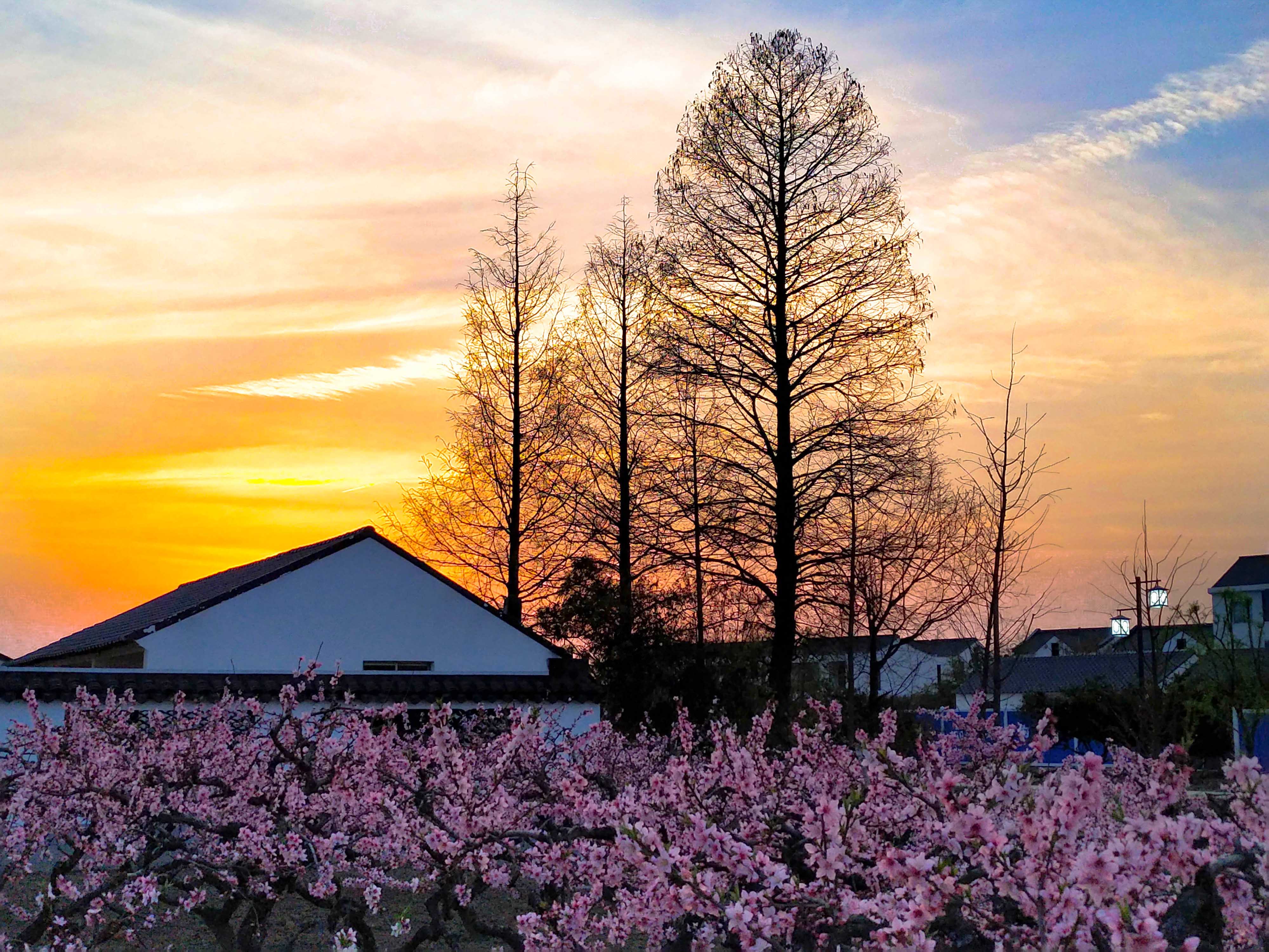 © The Design Institute Of Landscape & Architecture China Academy Of Art CO.,LTD