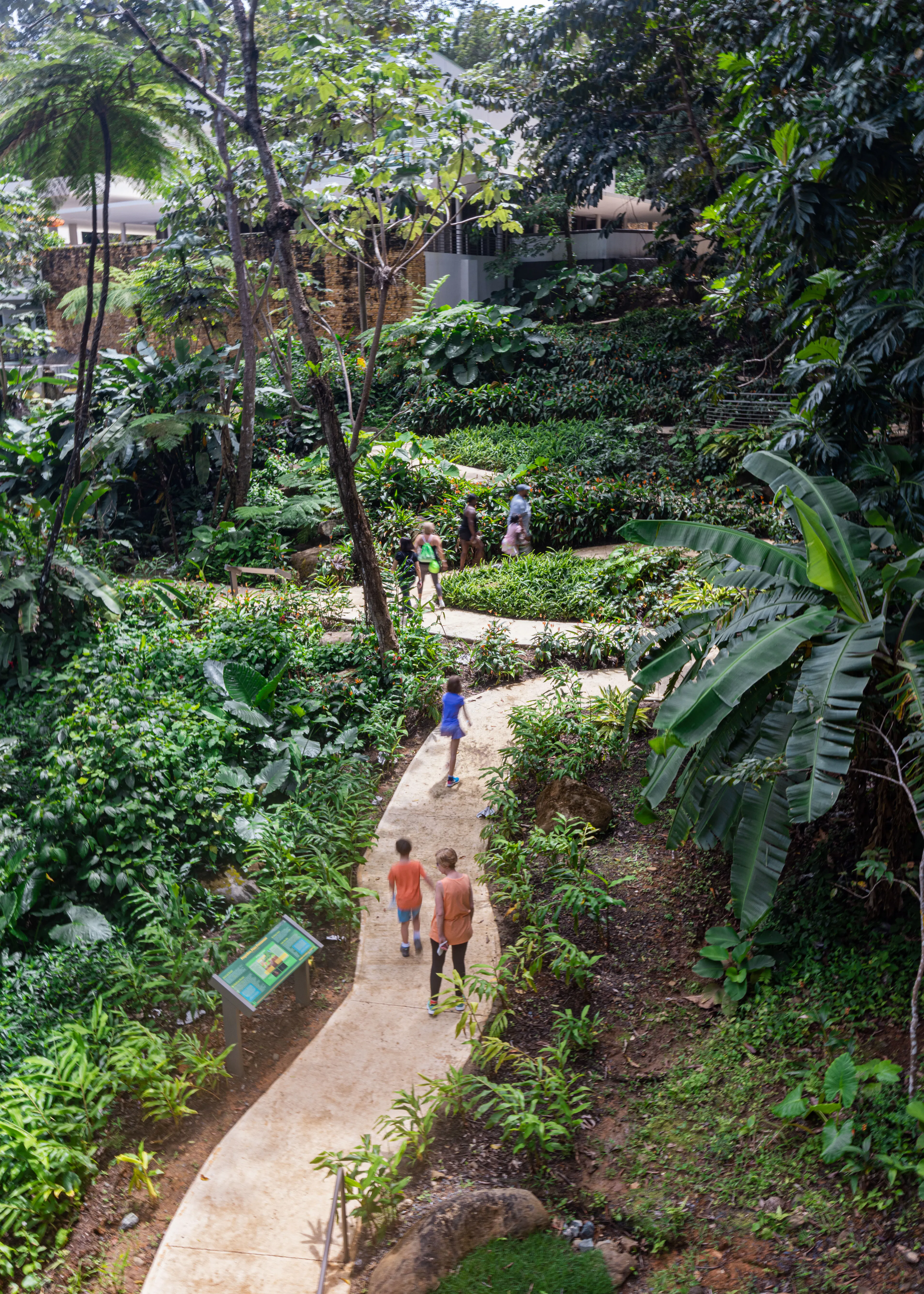 Revitalization of El Portal de El Yunque Visitors Center Building and Site — 3