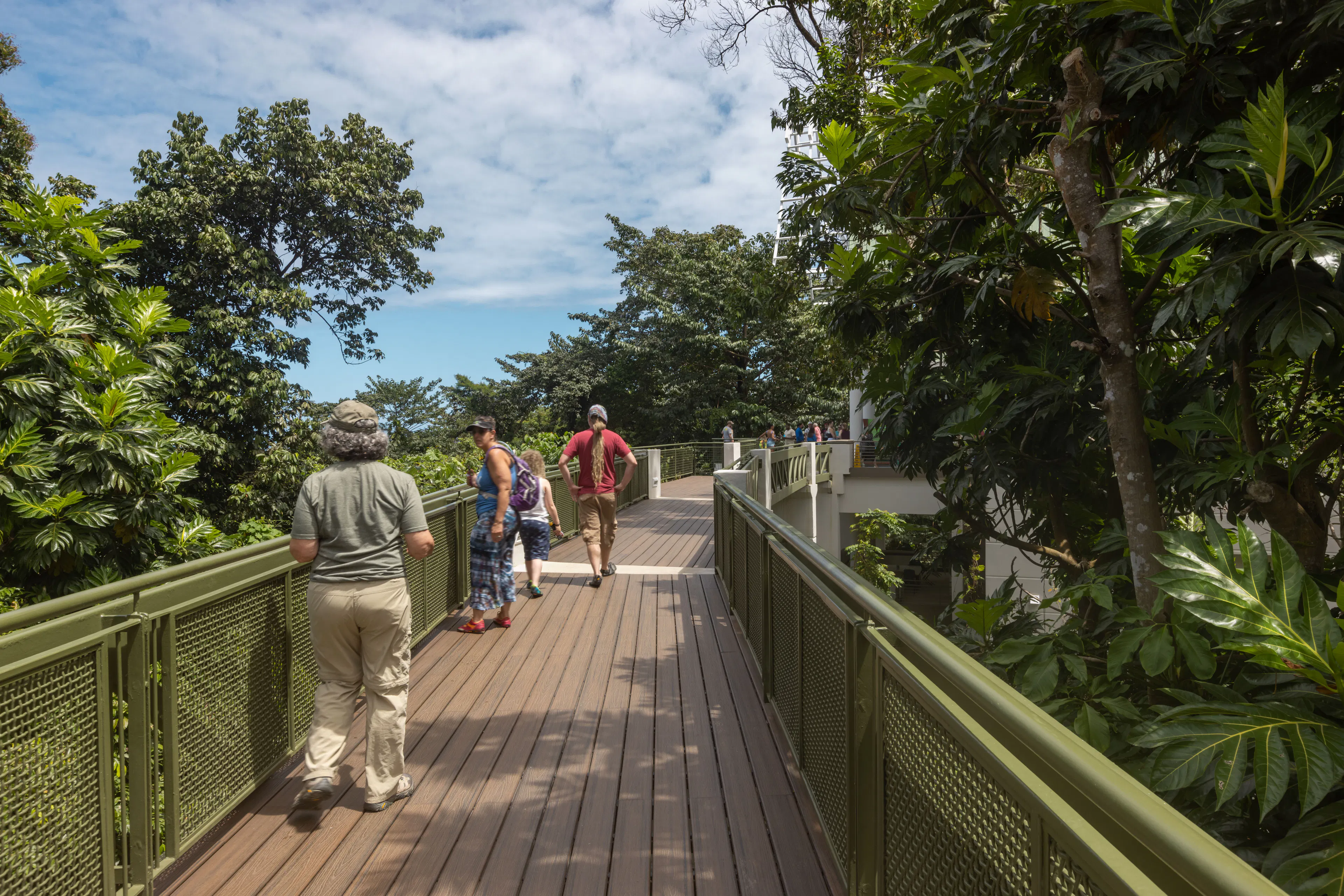Revitalization of El Portal de El Yunque Visitors Center Building and Site — 16