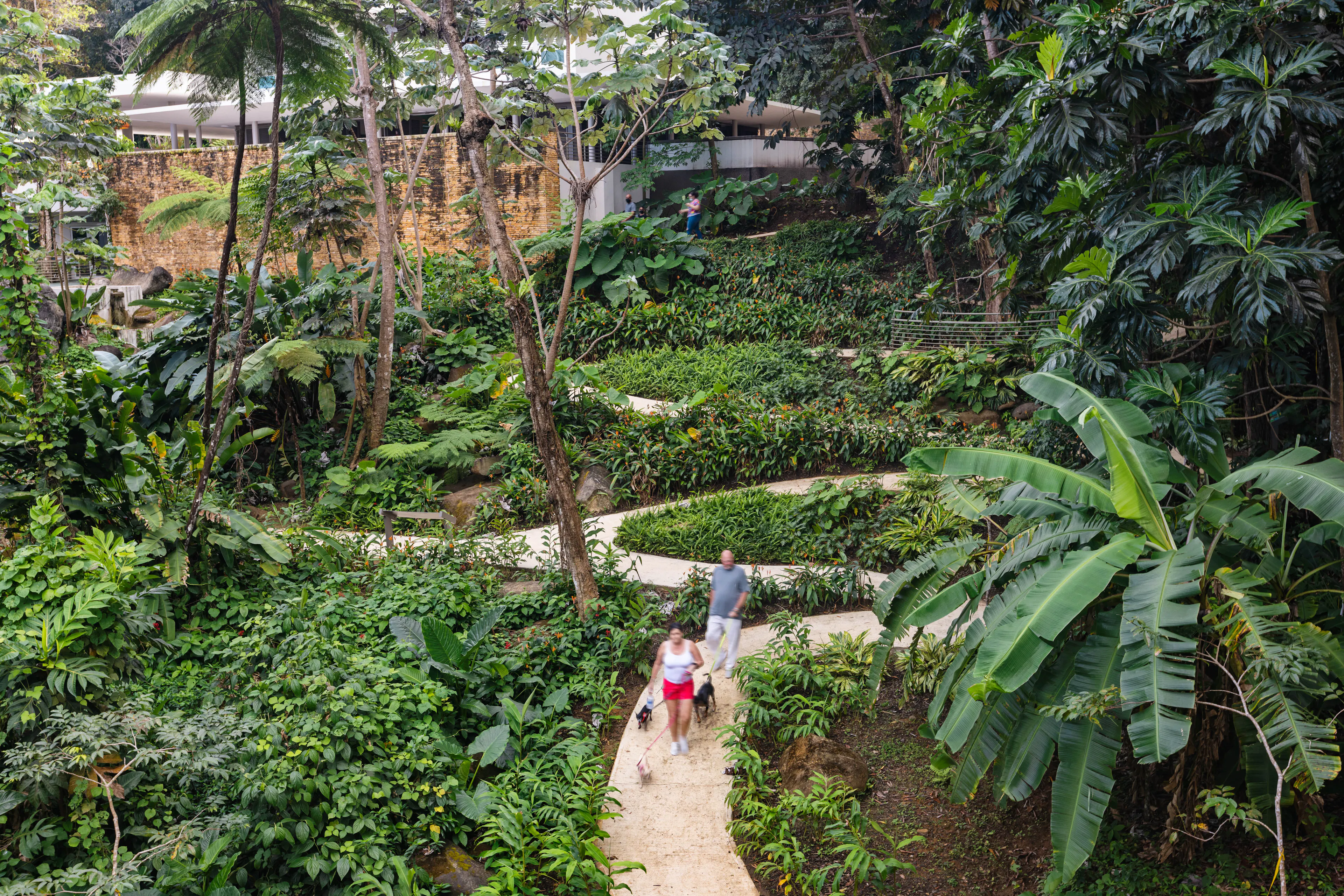 Revitalization of El Portal de El Yunque Visitors Center Building and Site — 8