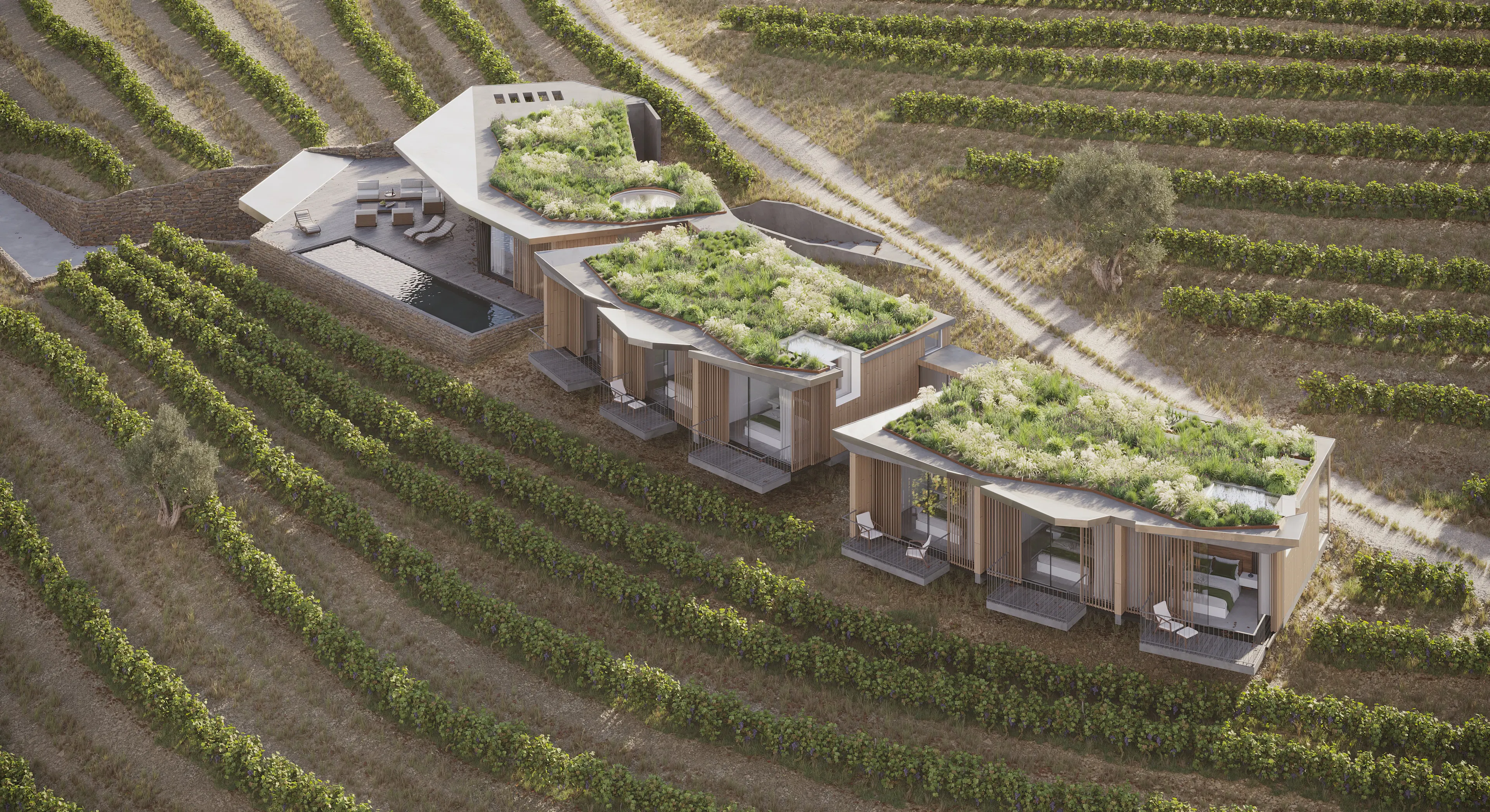 St. Joseph's Hospital: Emergency Room Expansion — 5