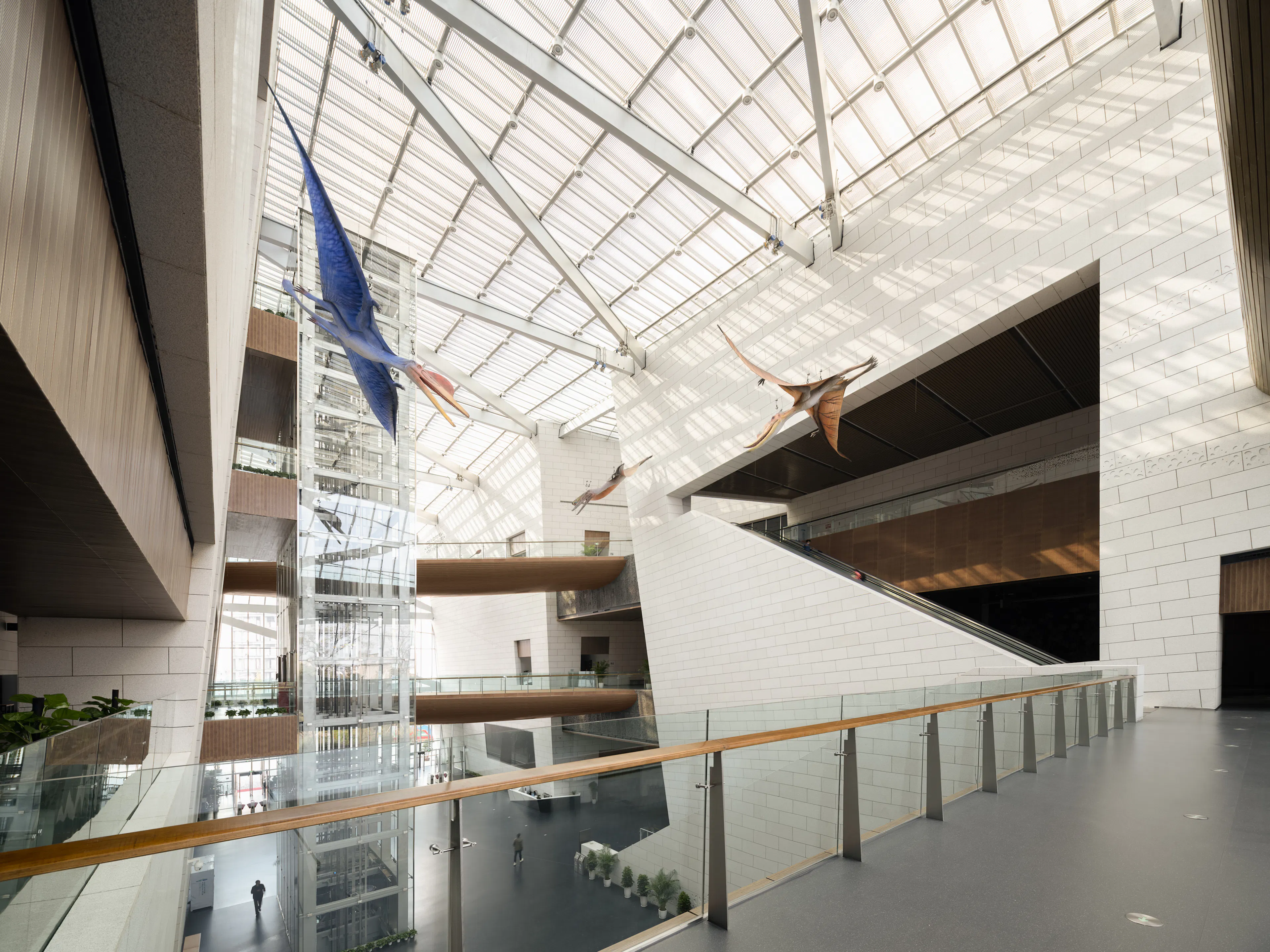 Chengdu Museum of Natural History — 2