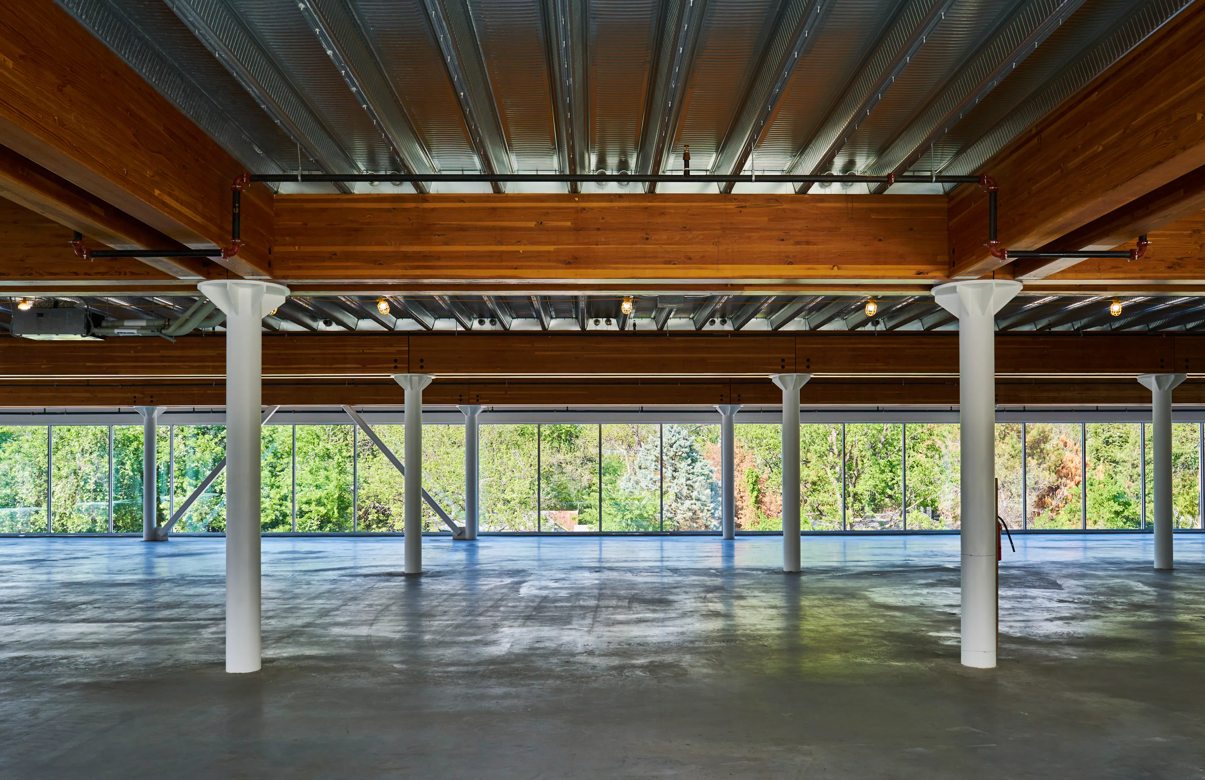 Fifth + Tillery — 5