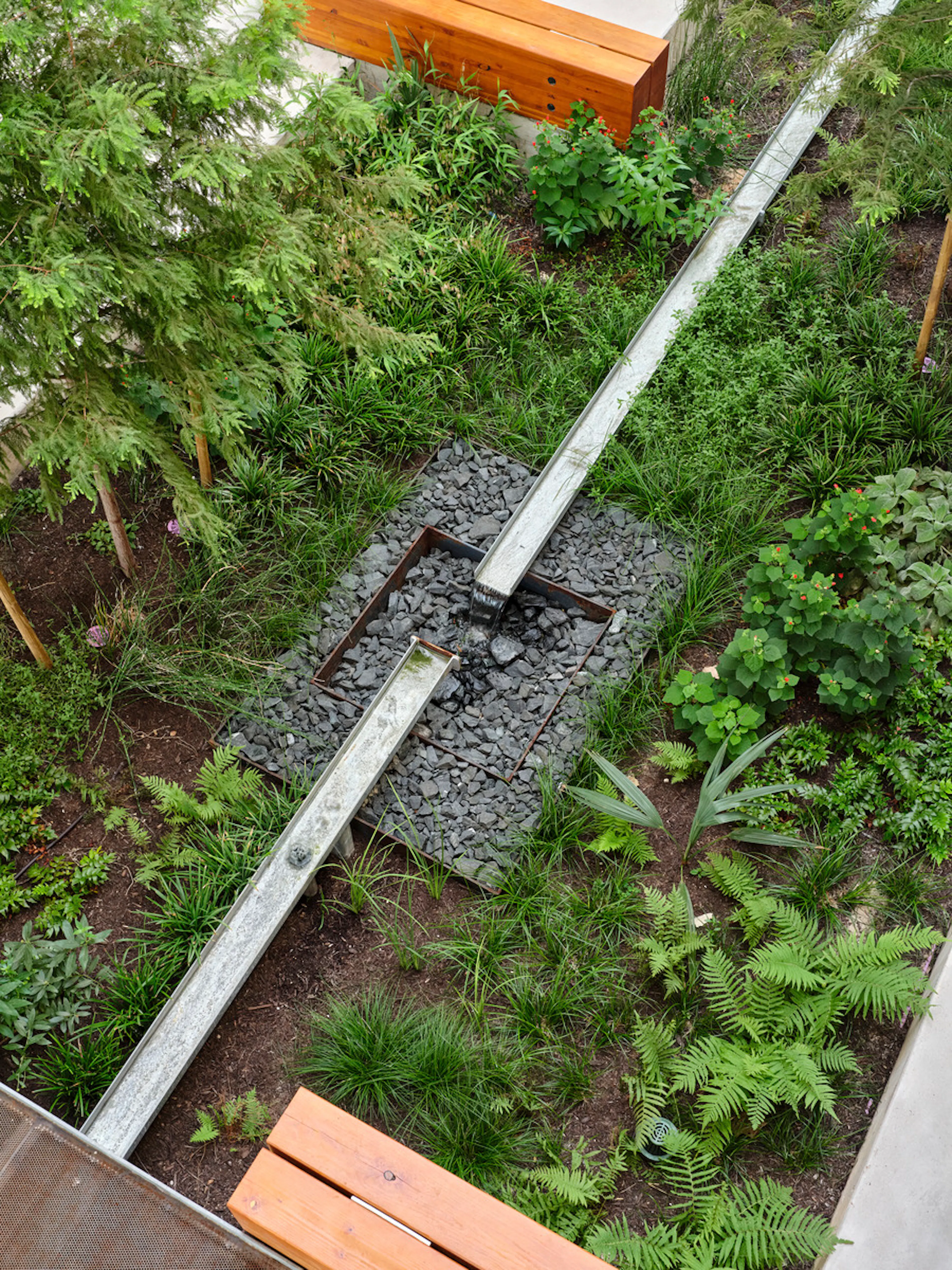 Fifth + Tillery — 9