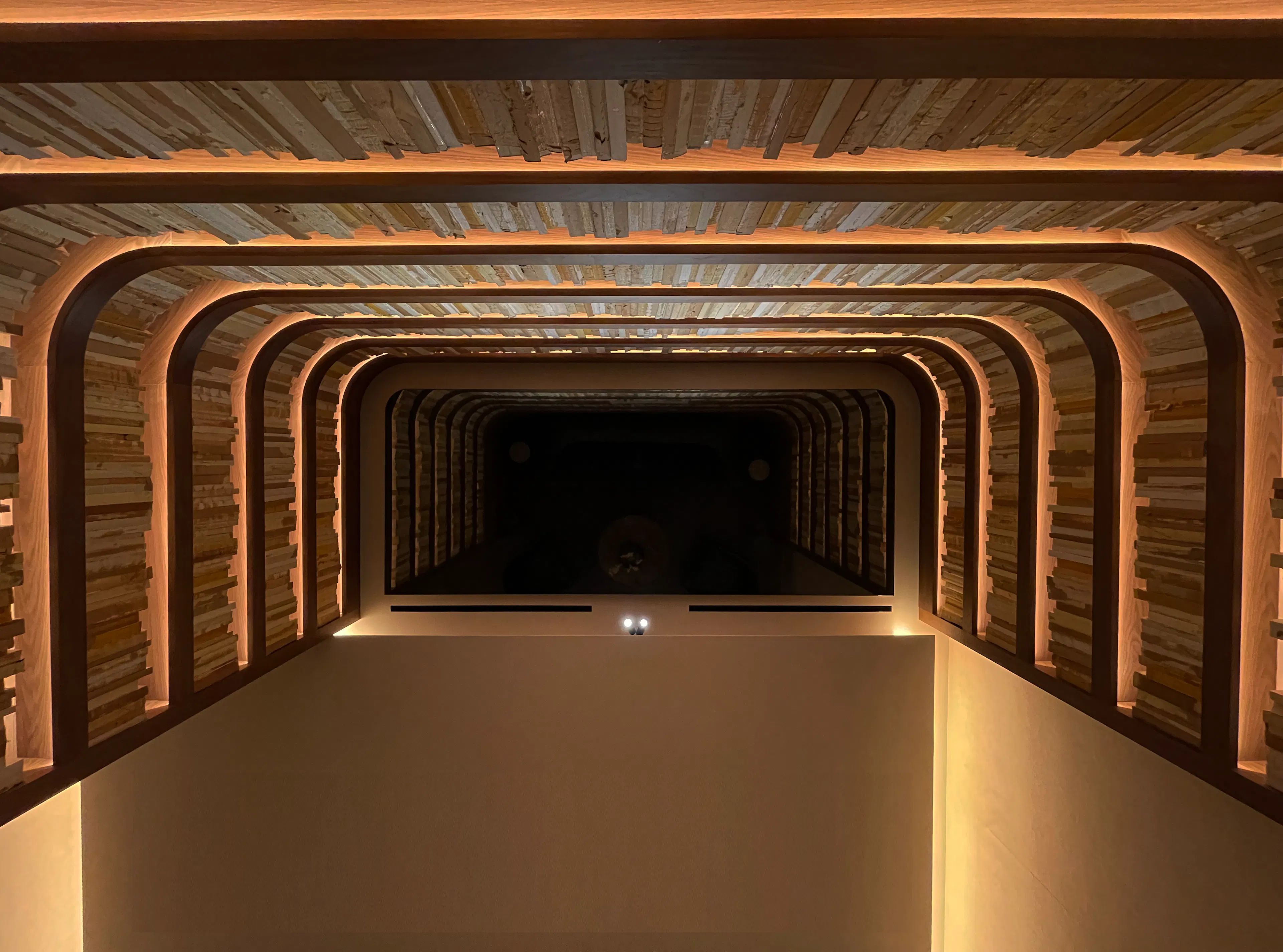 American Airlines Admirals Club at DCA — 13