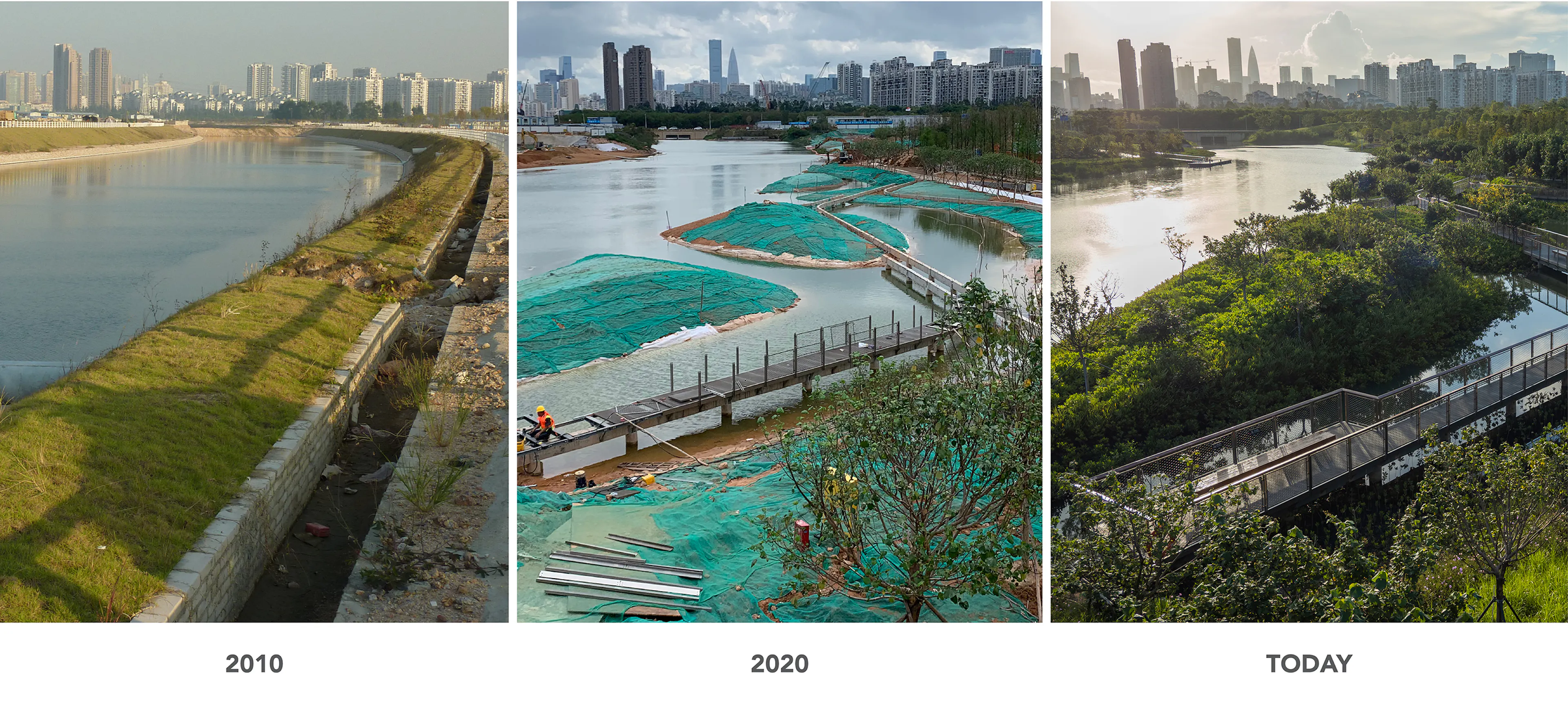 Qianhai's Guiwan Park — 3