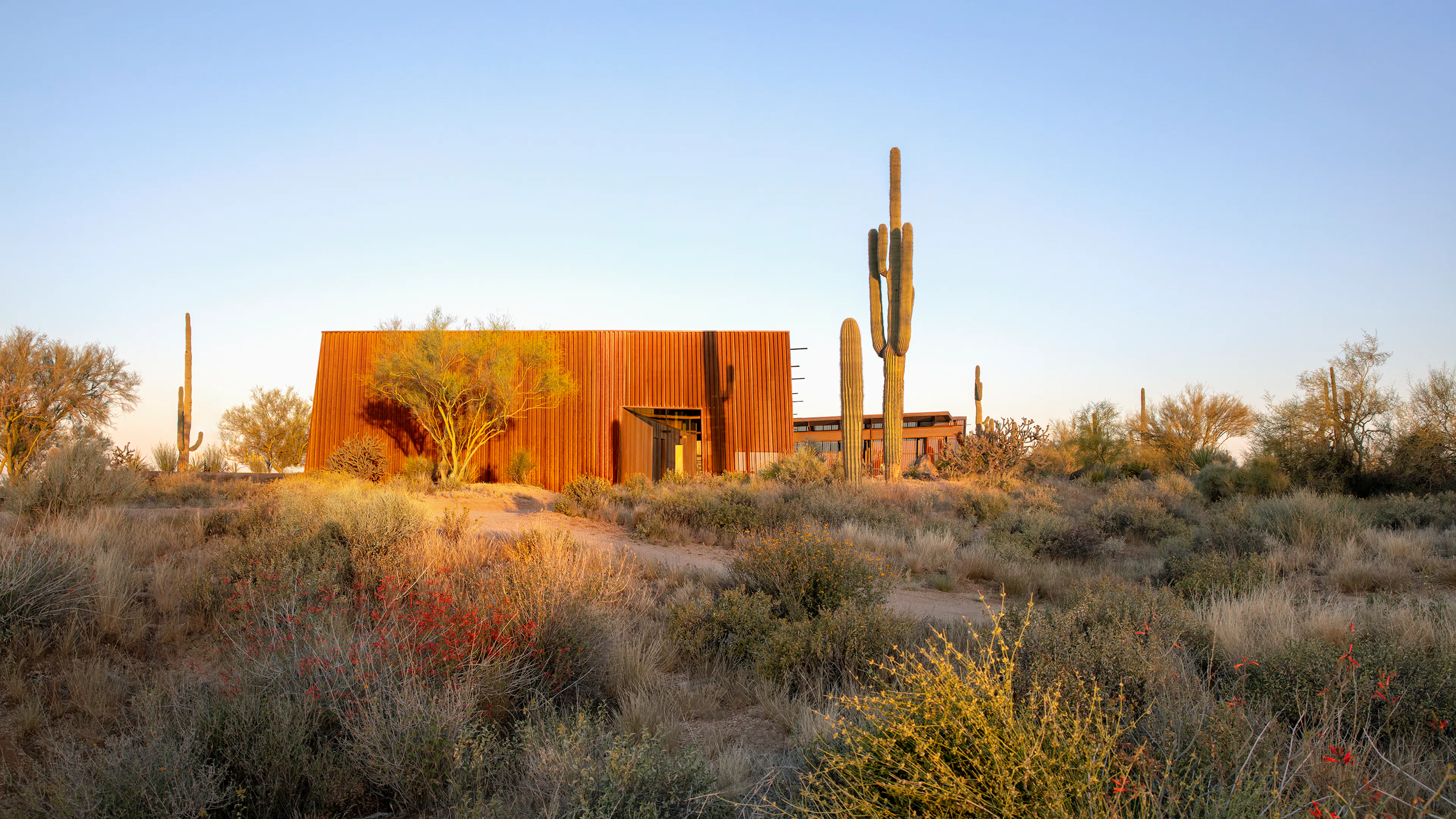 Pima Dynamite Trailhead — 2