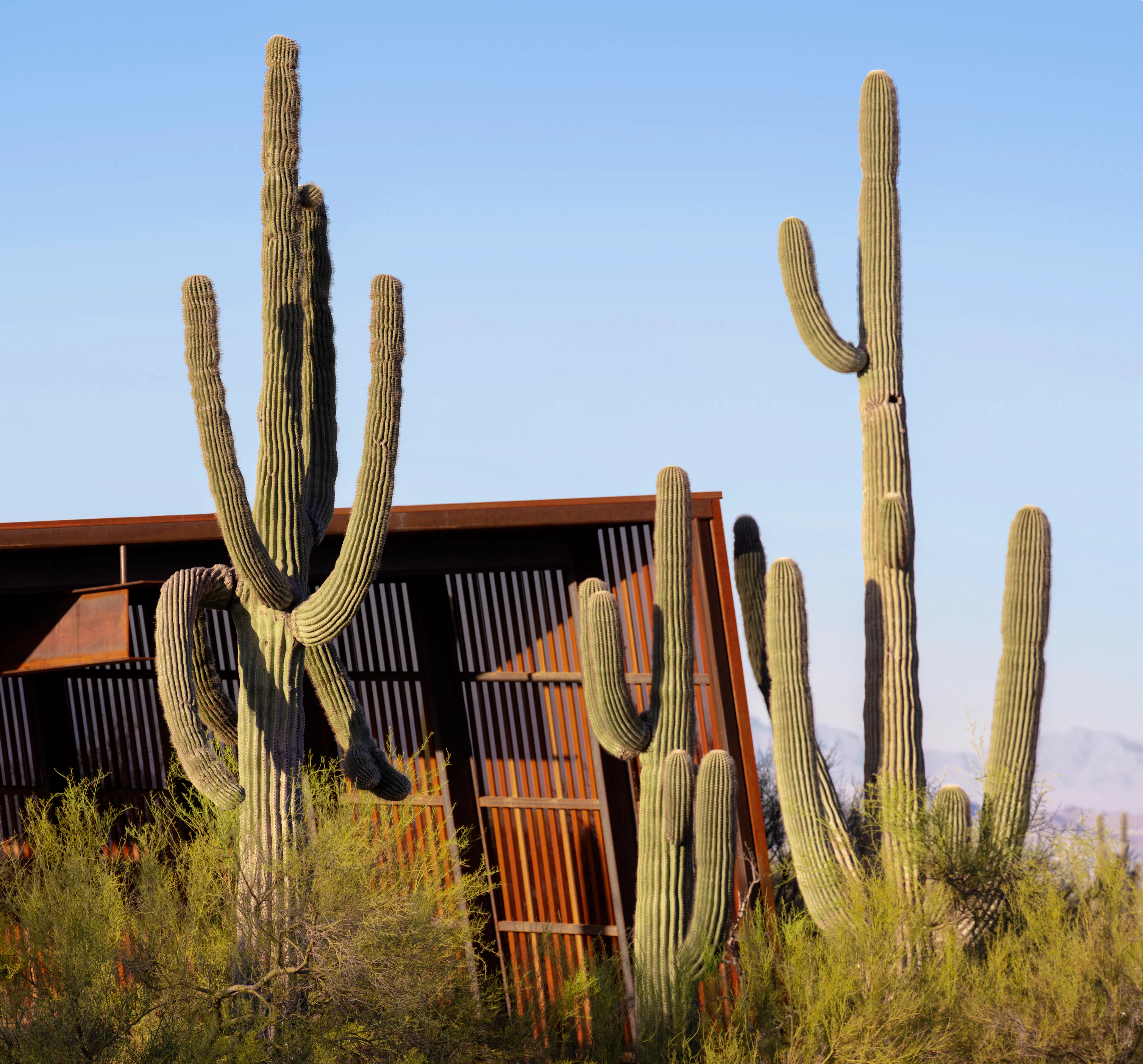 Pima Dynamite Trailhead — 3