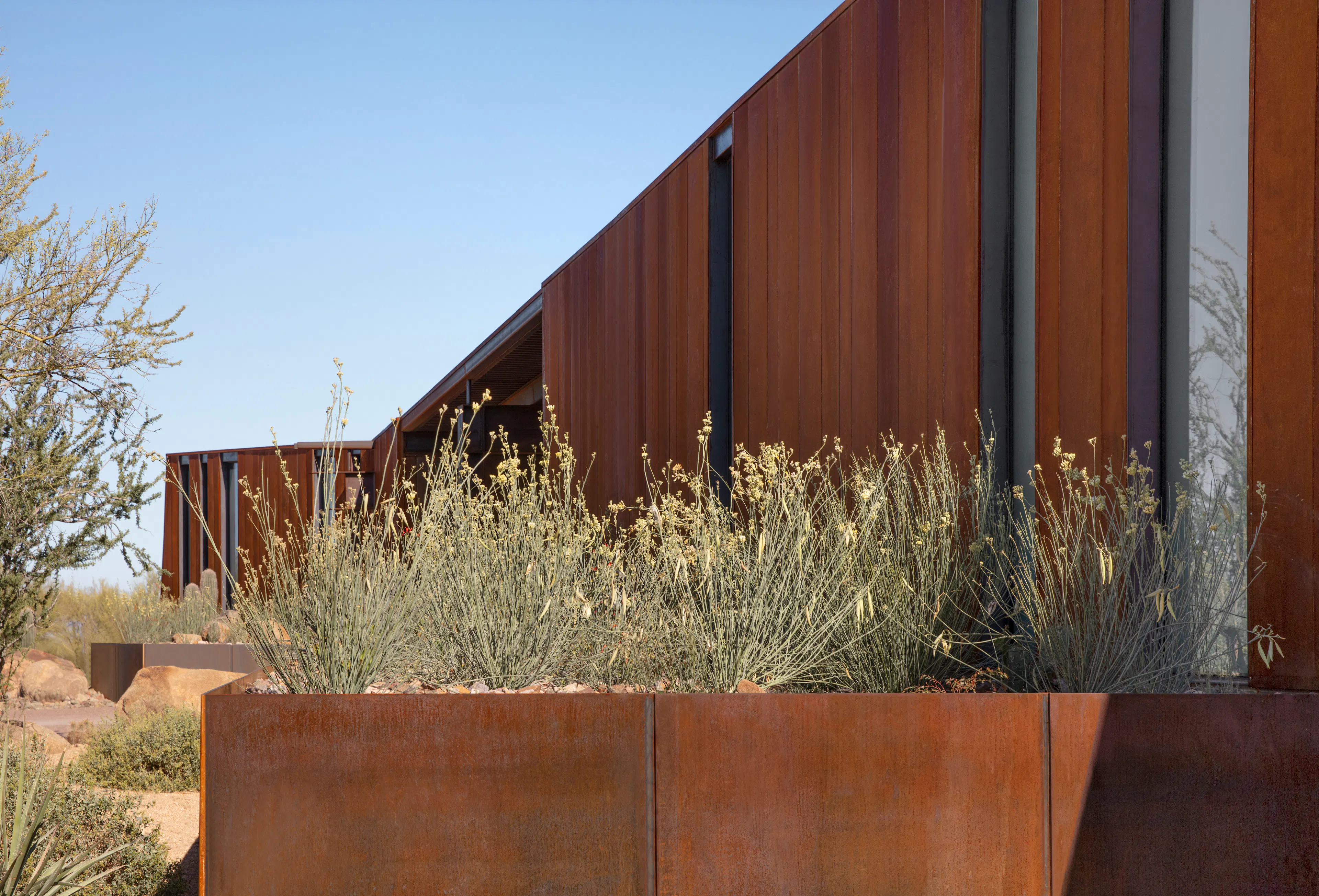 Pima Dynamite Trailhead — 7